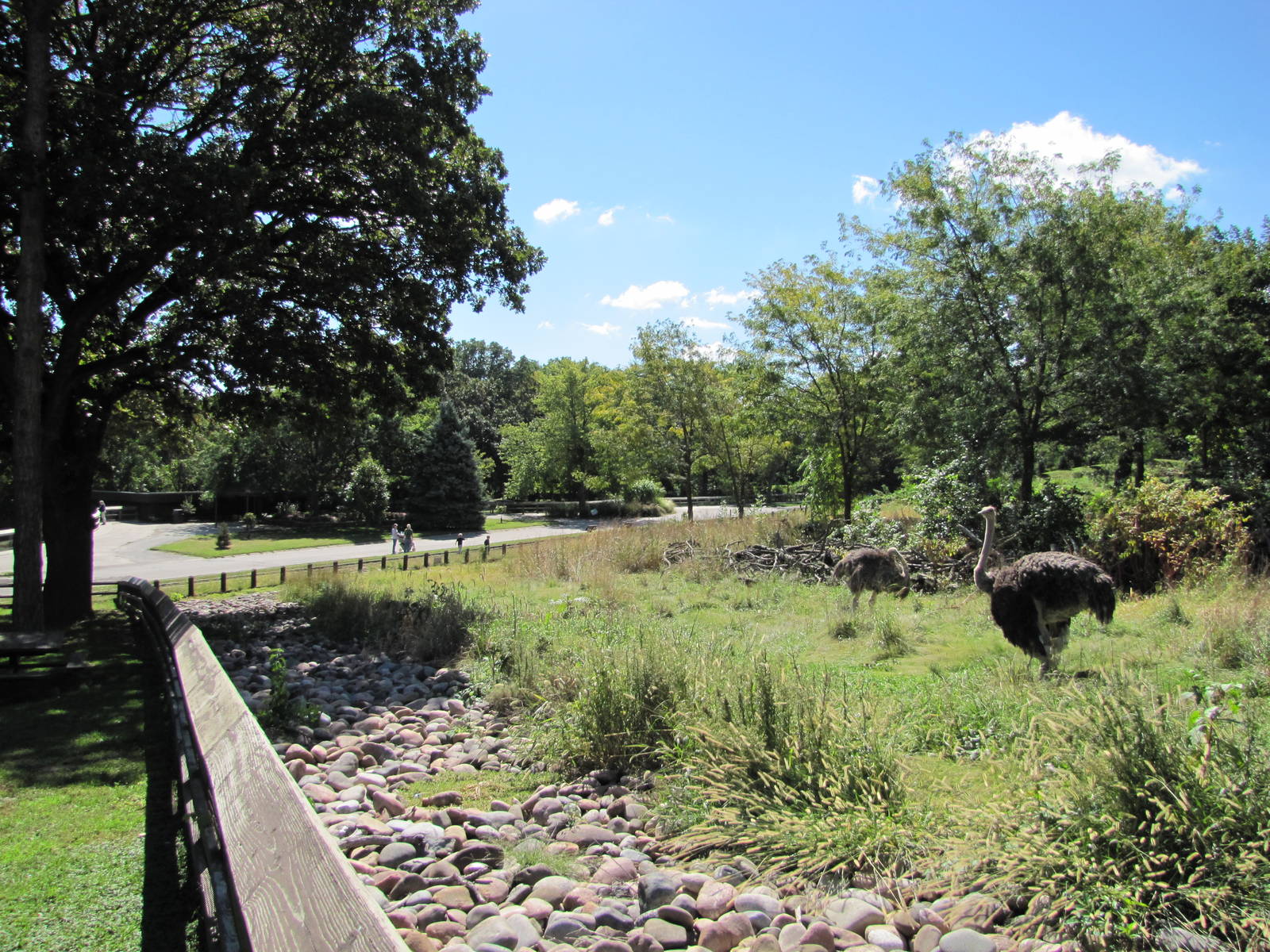 Henry Doorly Zoo 2010 - Part of Ostrich exhibit in African Veldt