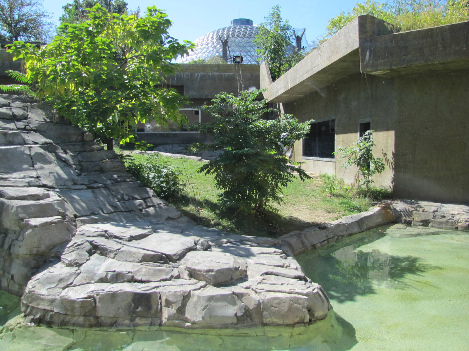 Henry Doorly Zoo 2010 - Part of outdoor exhibit in Hubbard Gorilla Valley