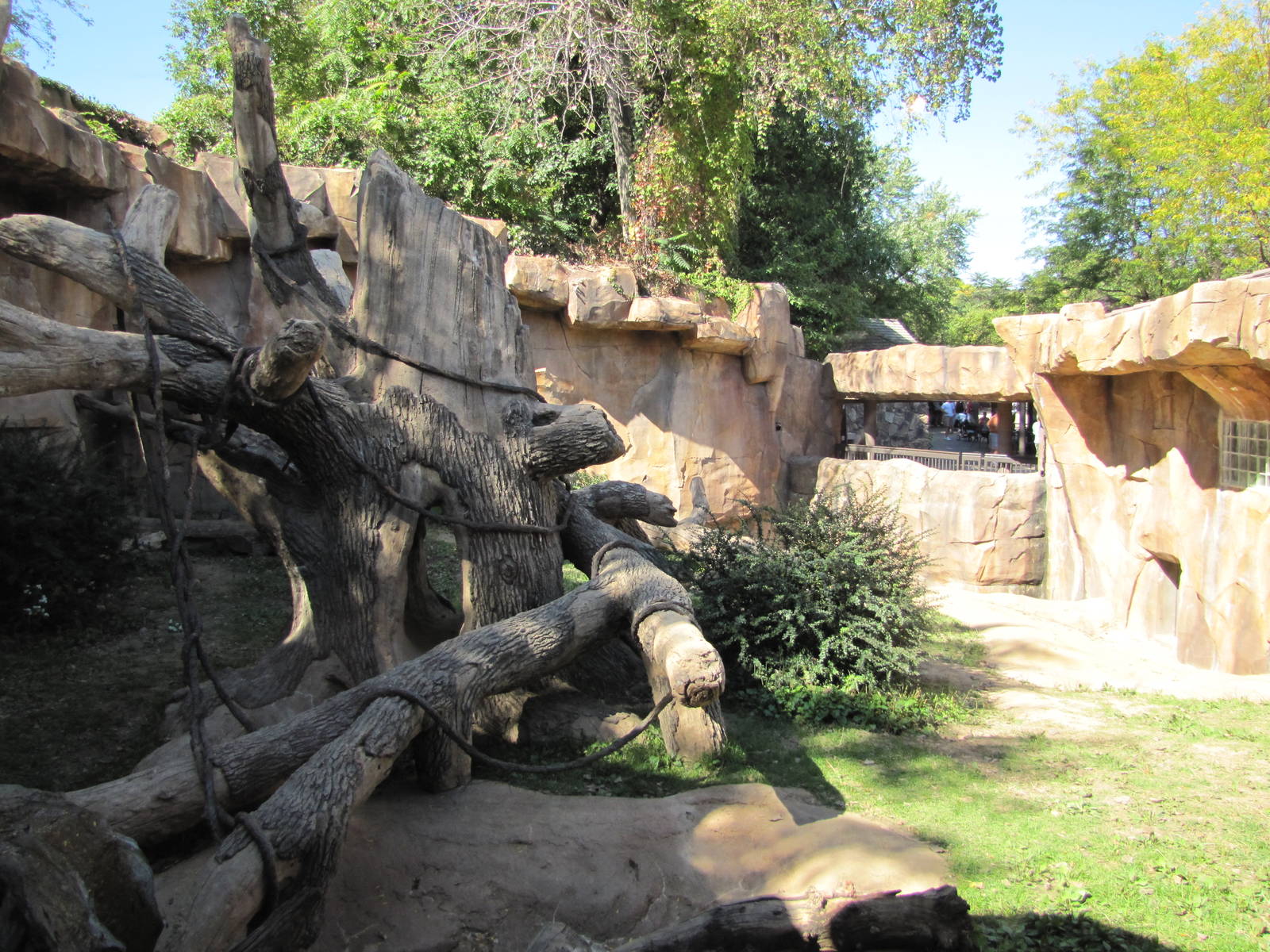 Henry Doorly Zoo 2010 - Part of outdoor exhibit in Hubbard Gorilla Valley