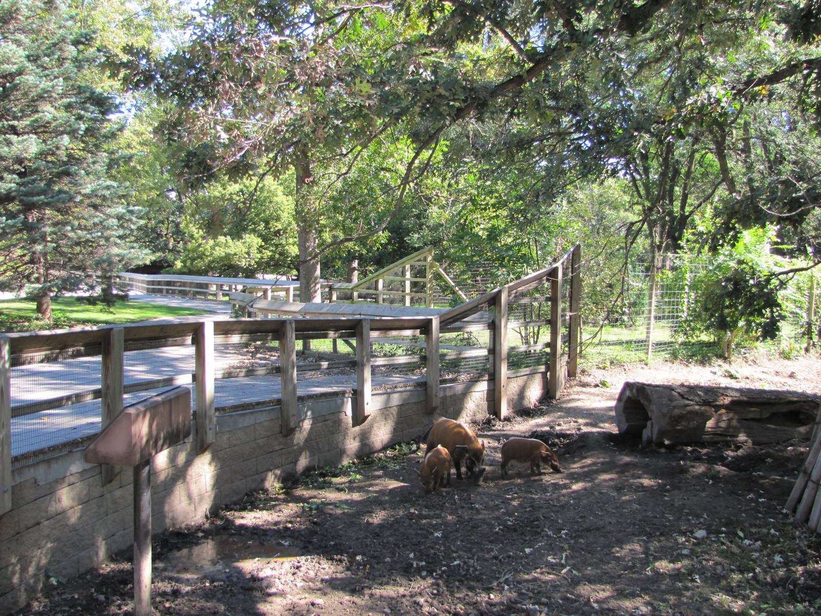 Henry Doorly Zoo 2010 - Part of Red River Hog exhibit