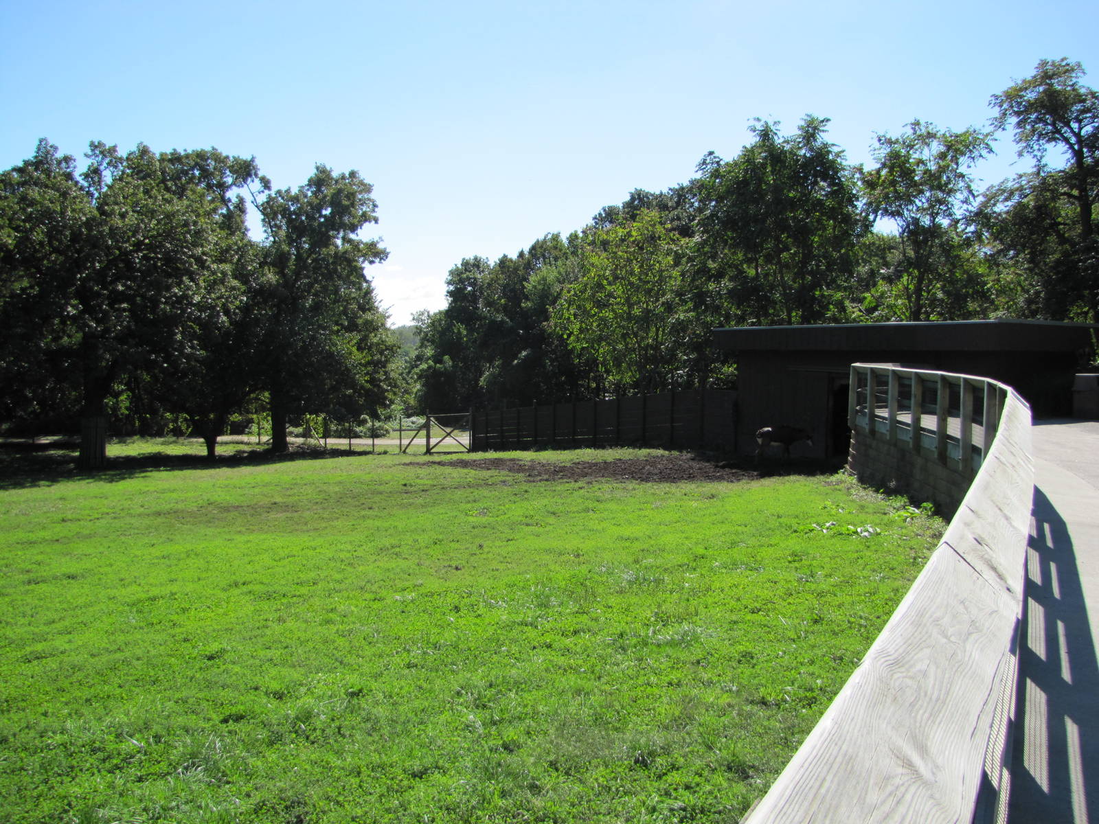 Henry Doorly Zoo 2010 - Part of Sable Antelope paddock