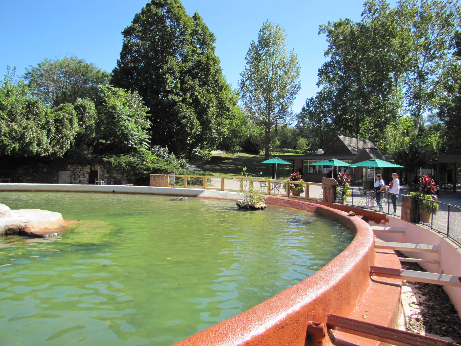 Henry Doorly Zoo 2010 - Present Sea Lion Pool and once a swimming pool