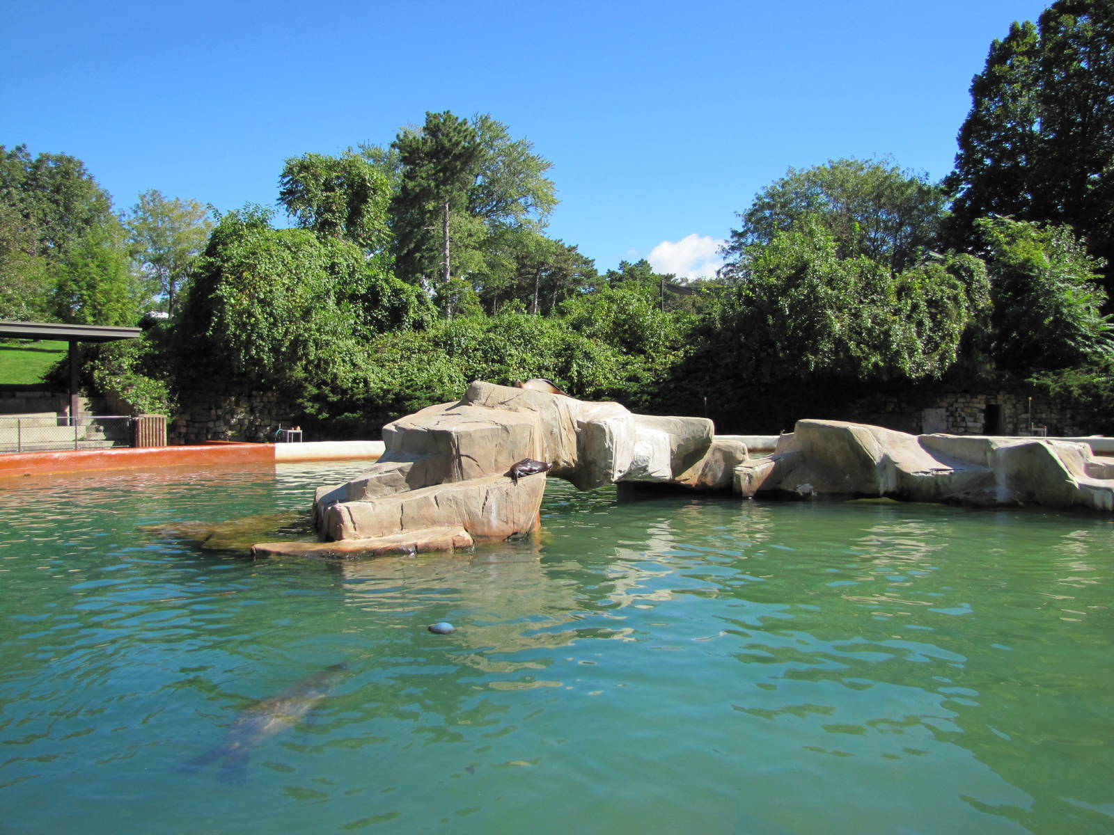 Henry Doorly Zoo 2010 - Present Sea Lion Pool and once a swimming pool