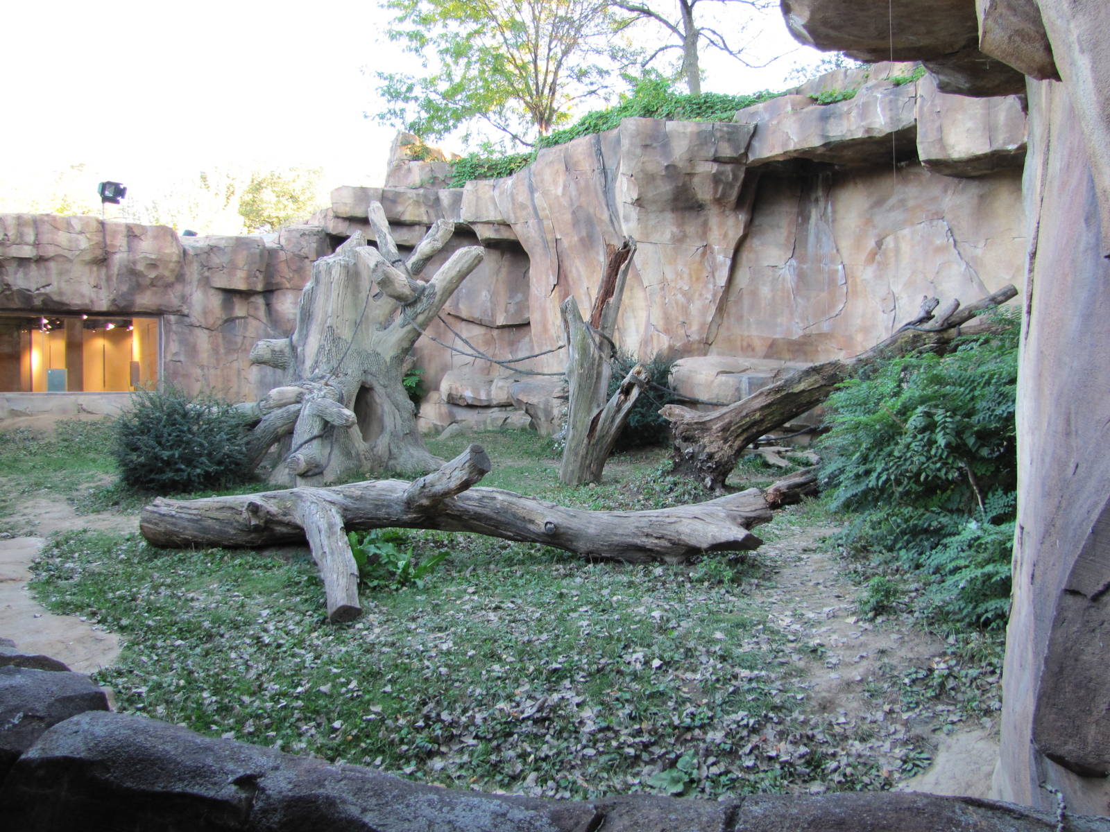 Henry Doorly Zoo 2010 - Right part of Silverback outdoor exhibit in Hubbard