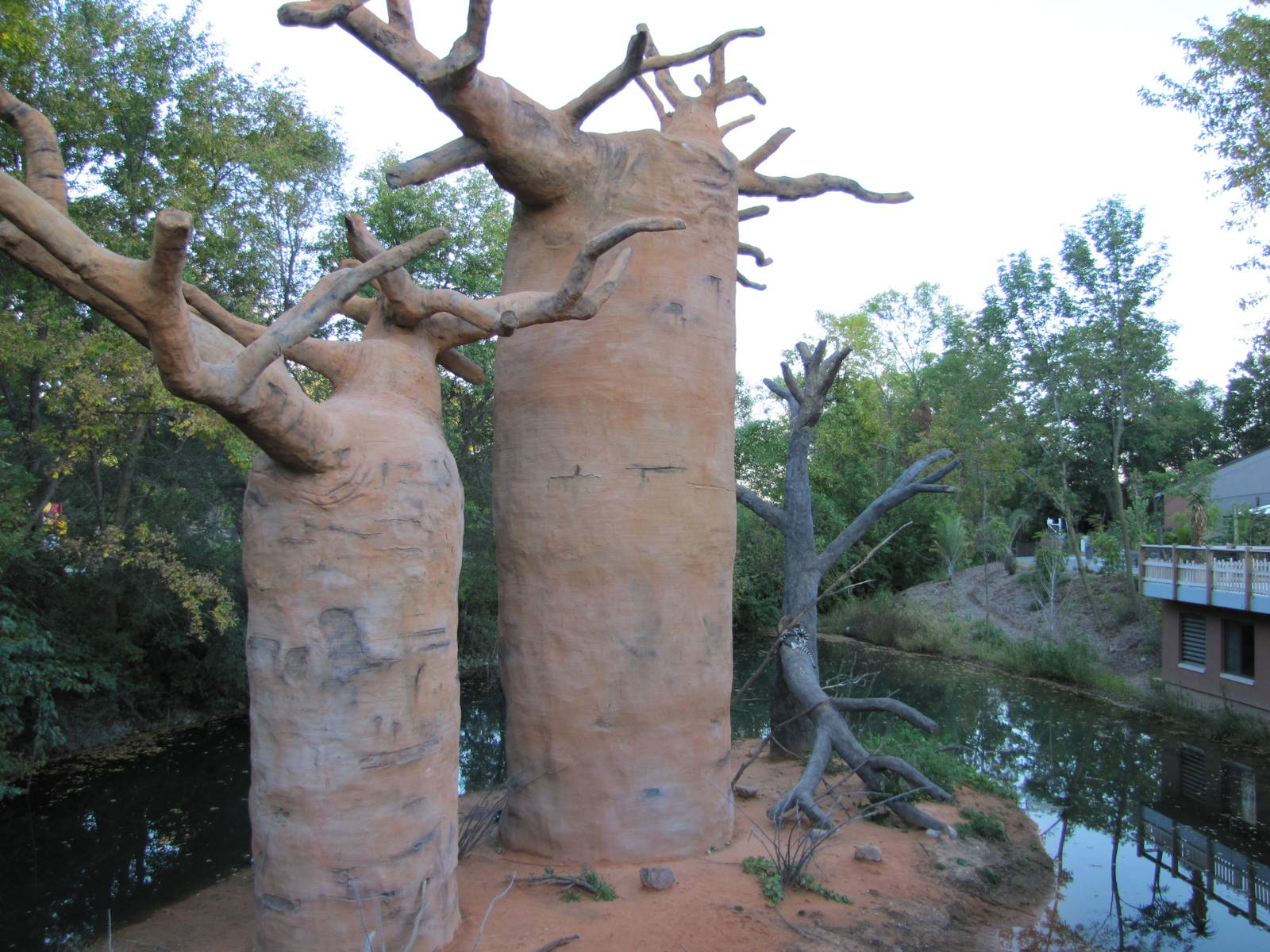 Henry Doorly Zoo 2010 - Ring-tailed Lemur exhibit in Expedition Madagascar