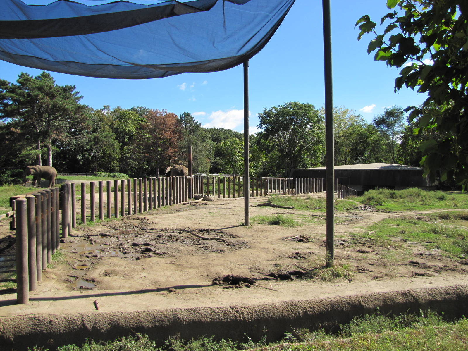 Henry Doorly Zoo 2010 - Second African Elephant exhibit