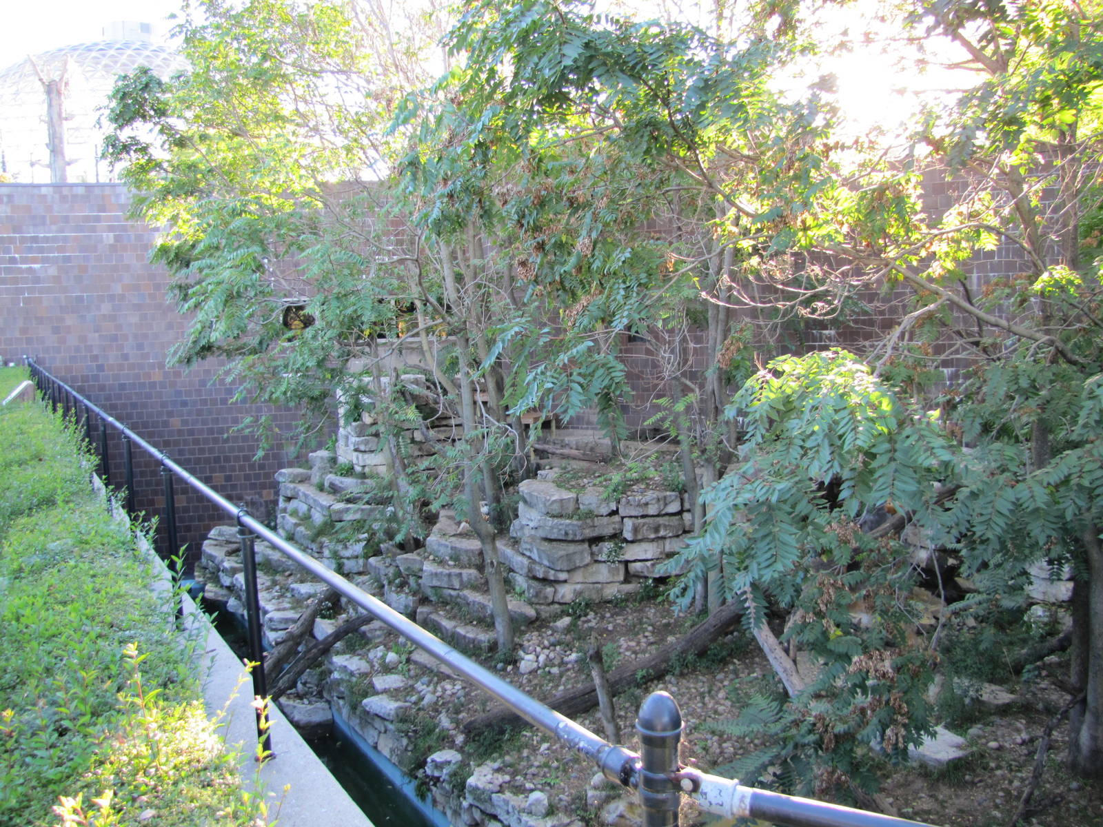 Henry Doorly Zoo 2010 - Second part of Amur Tiger outdoor exhibit at the Ca