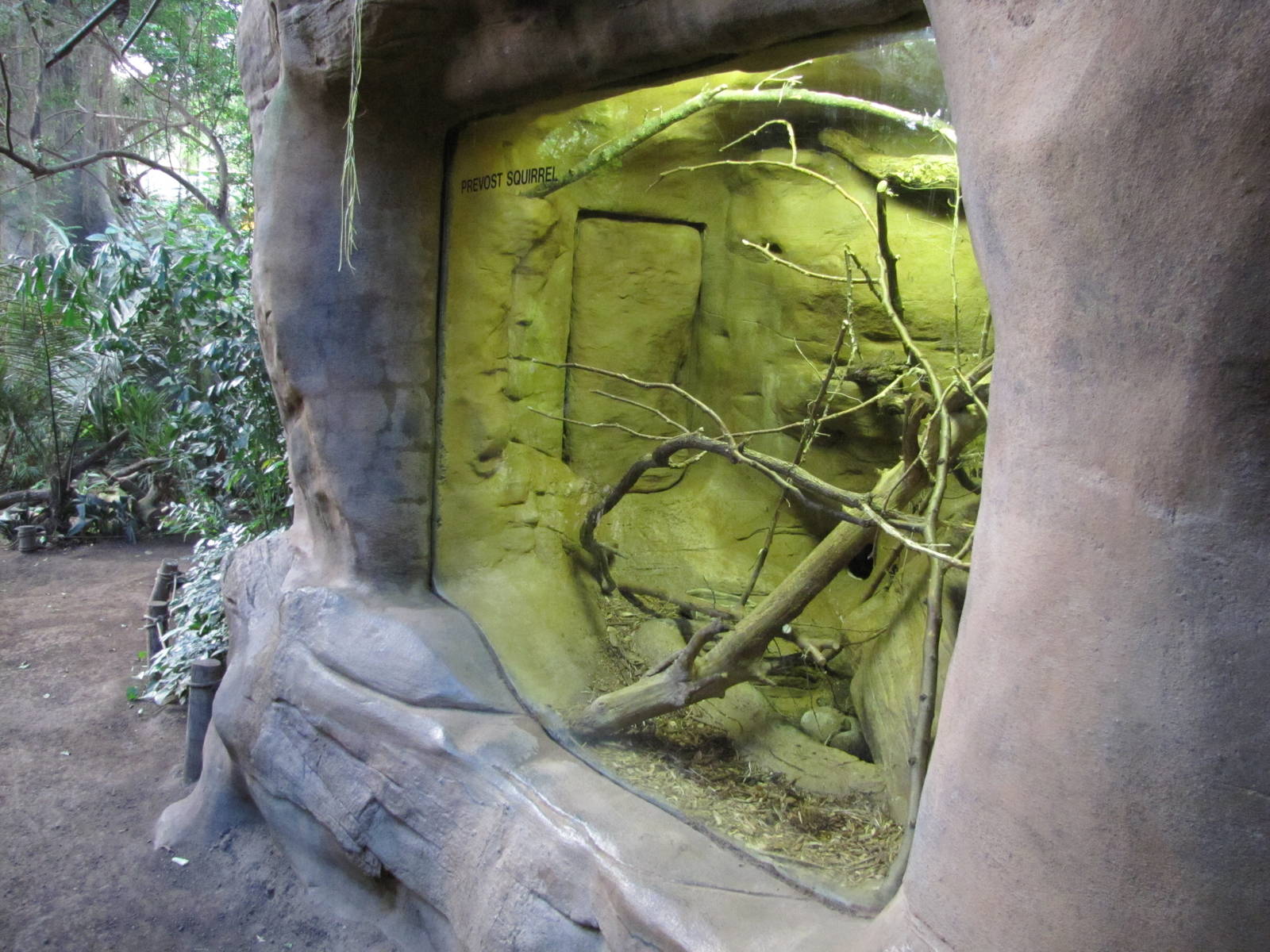 Henry Doorly Zoo 2010 - Side of Owl Monkey exhibit