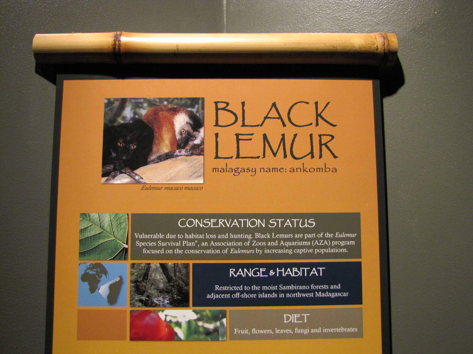 Henry Doorly Zoo 2010 - Signage example in Expedition Madagascar