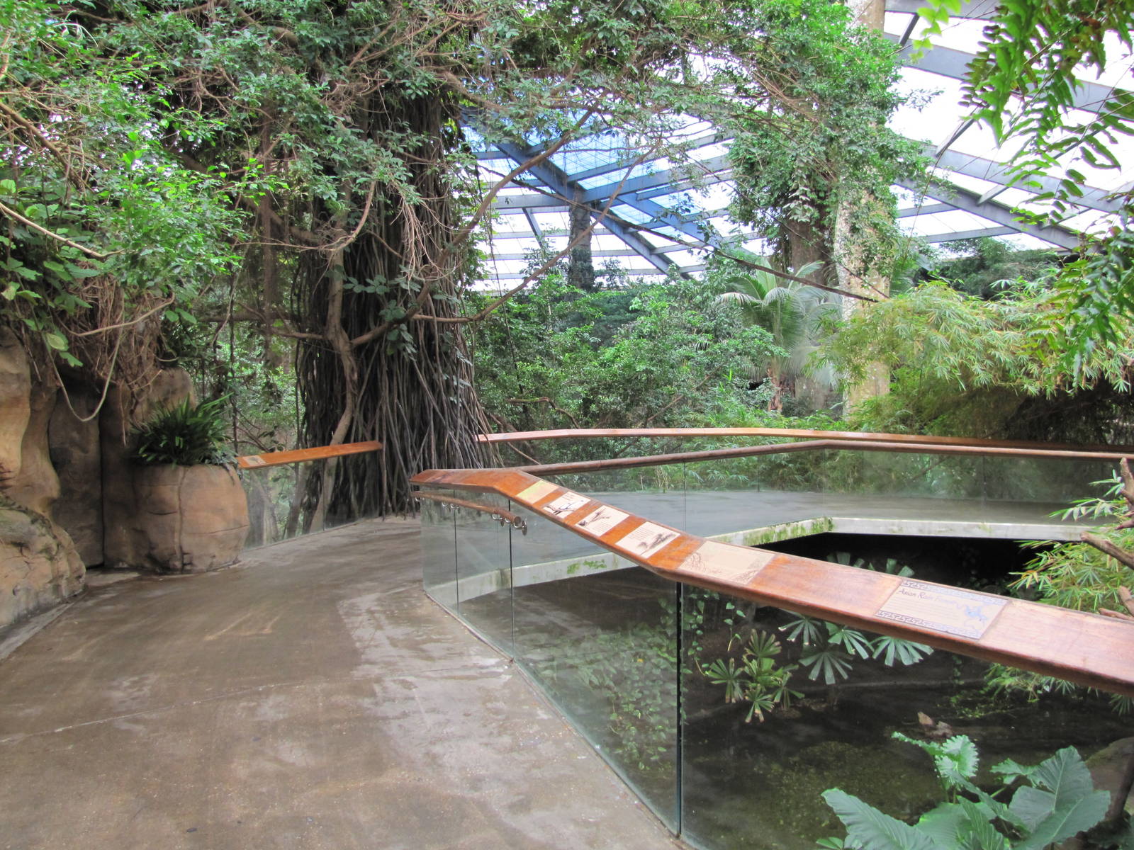 Henry Doorly Zoo 2010 - Start of Asian Rainforest in Lied Jungle