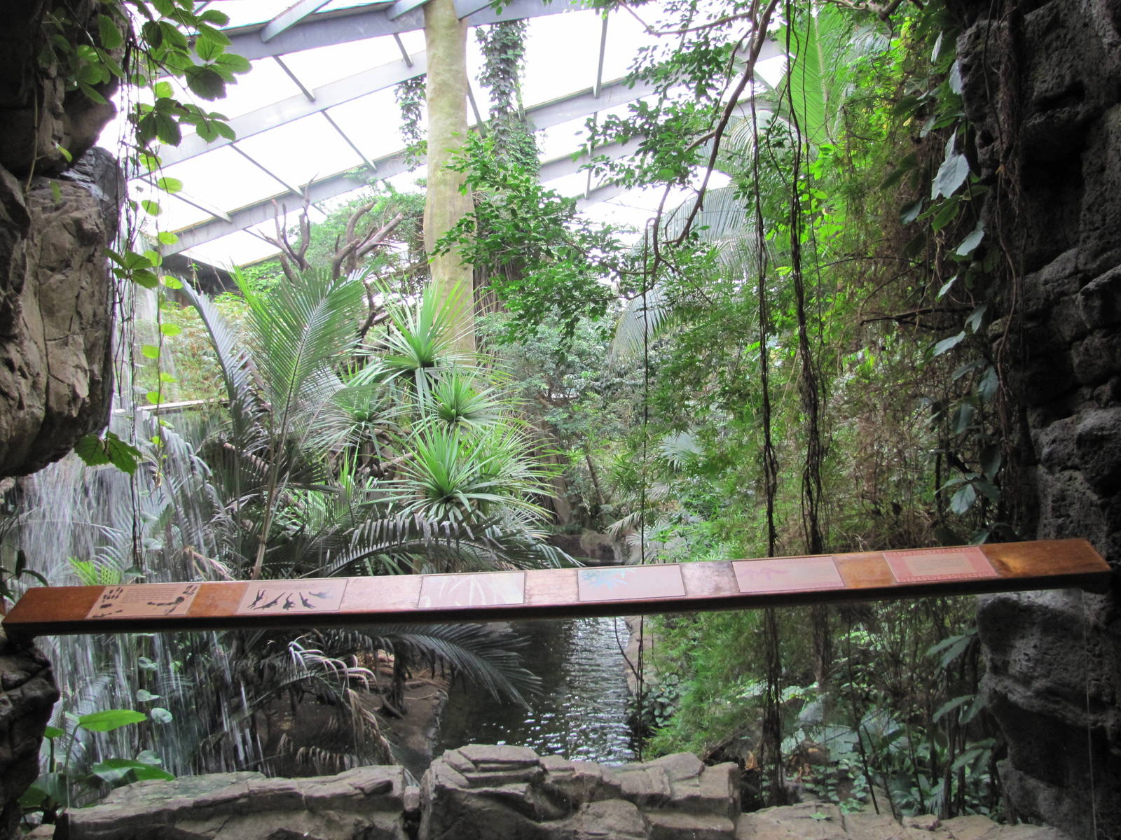 Henry Doorly Zoo 2010 - View into Asian Rainforest in Lied Jungle