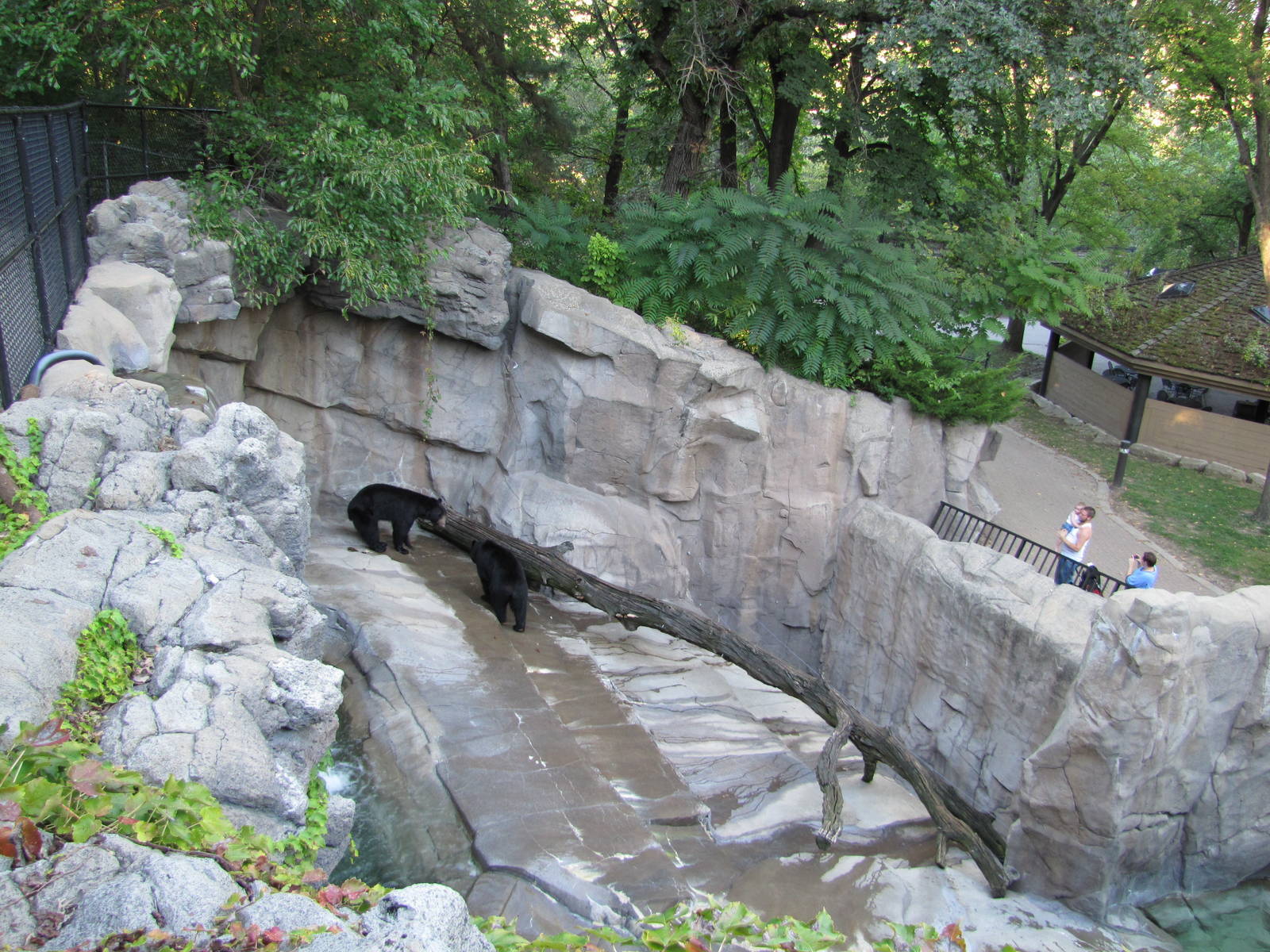 Henry Doorly Zoo 2010 - View over American Black Bear exhibit in Bear Canyo