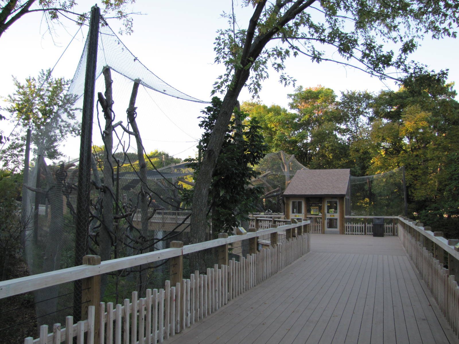 Henry Doorly Zoo 2010 - Walk-through Lemur exhibit in Expedition Madagascar
