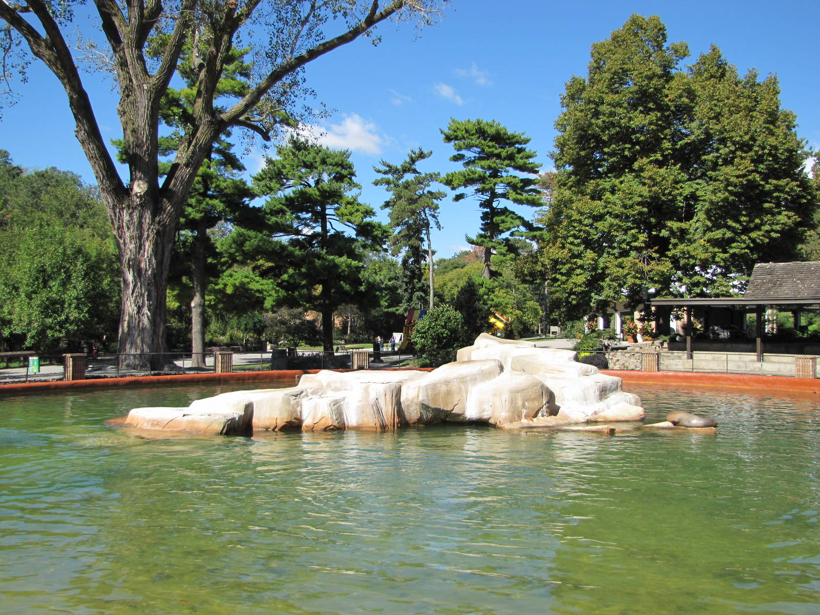 Henry Doorly Zoo 2010 -