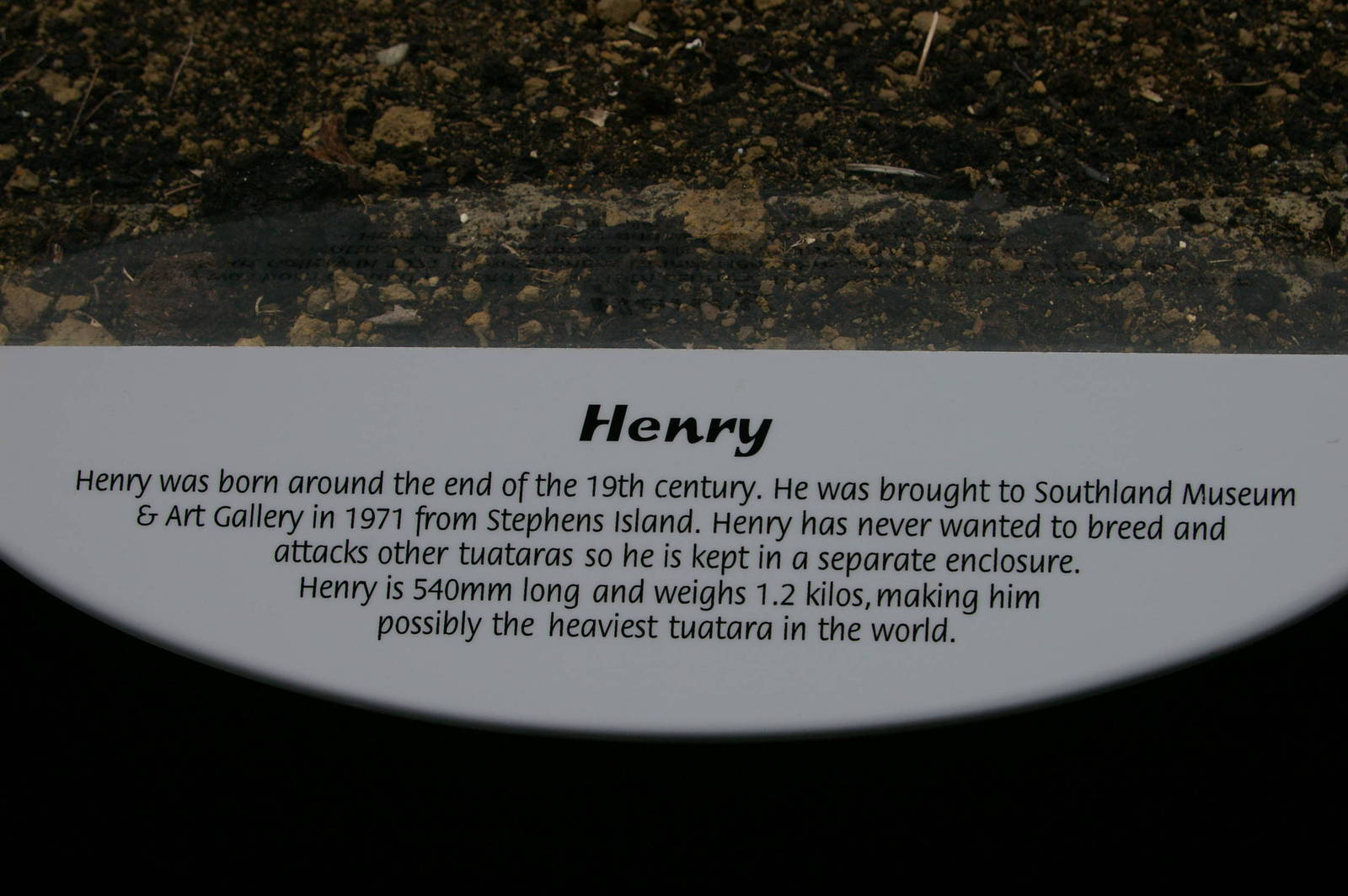 Henry's sign at Tuatarium