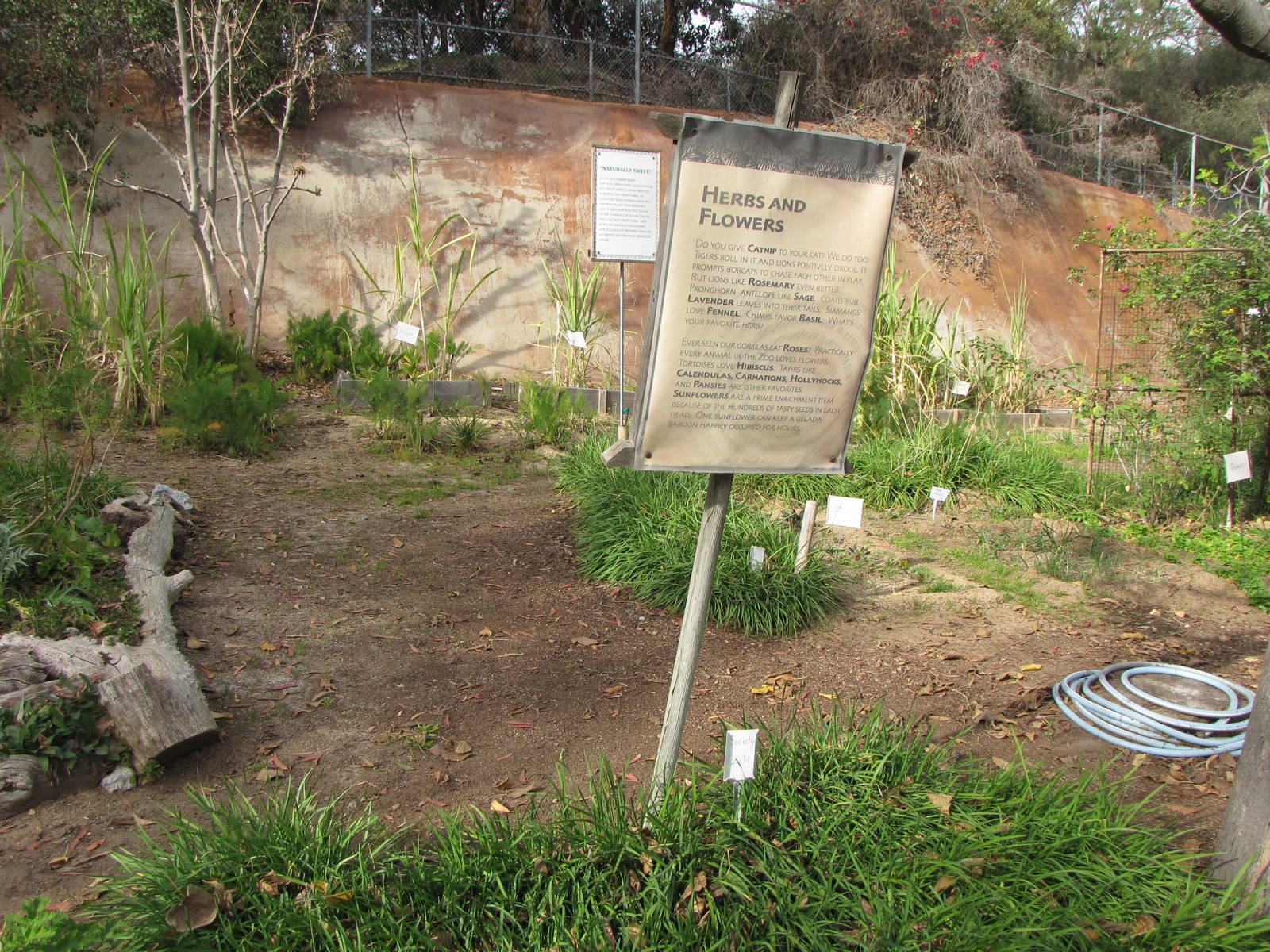 Herb and Vegetable Garden