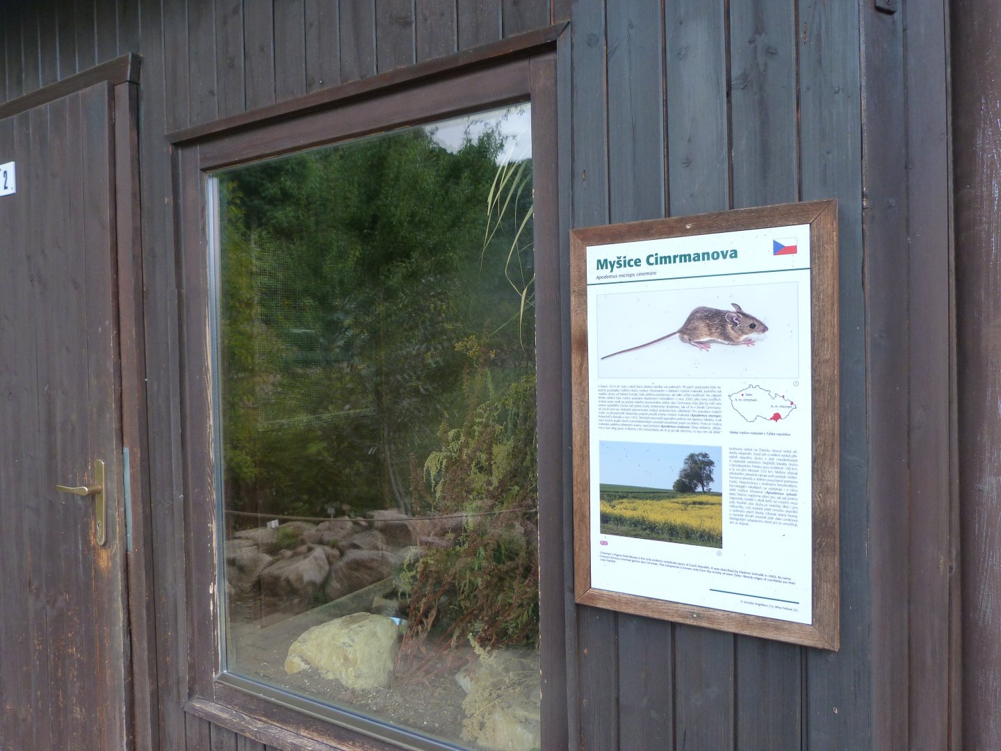 Herb field mouse exhibit -Zoo Plzeň (2025)