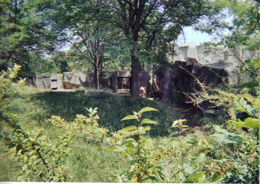 Herbivore/Carnivore Mixed Hoof-Stock Exhibit - July 2004