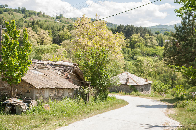 Here I would love to open a small modern zoo. 41.18 Northern latitude