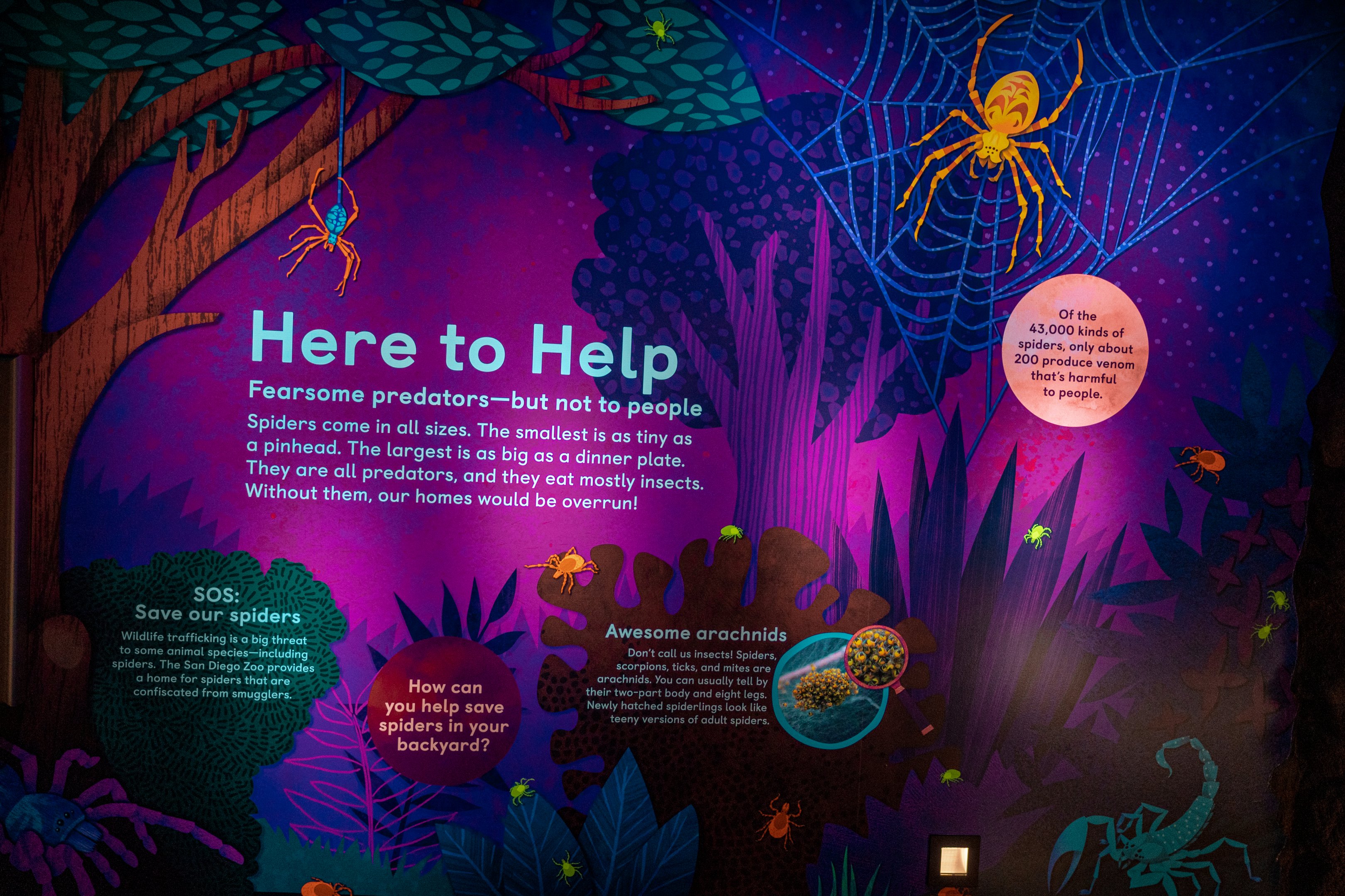 Here to Help wall art