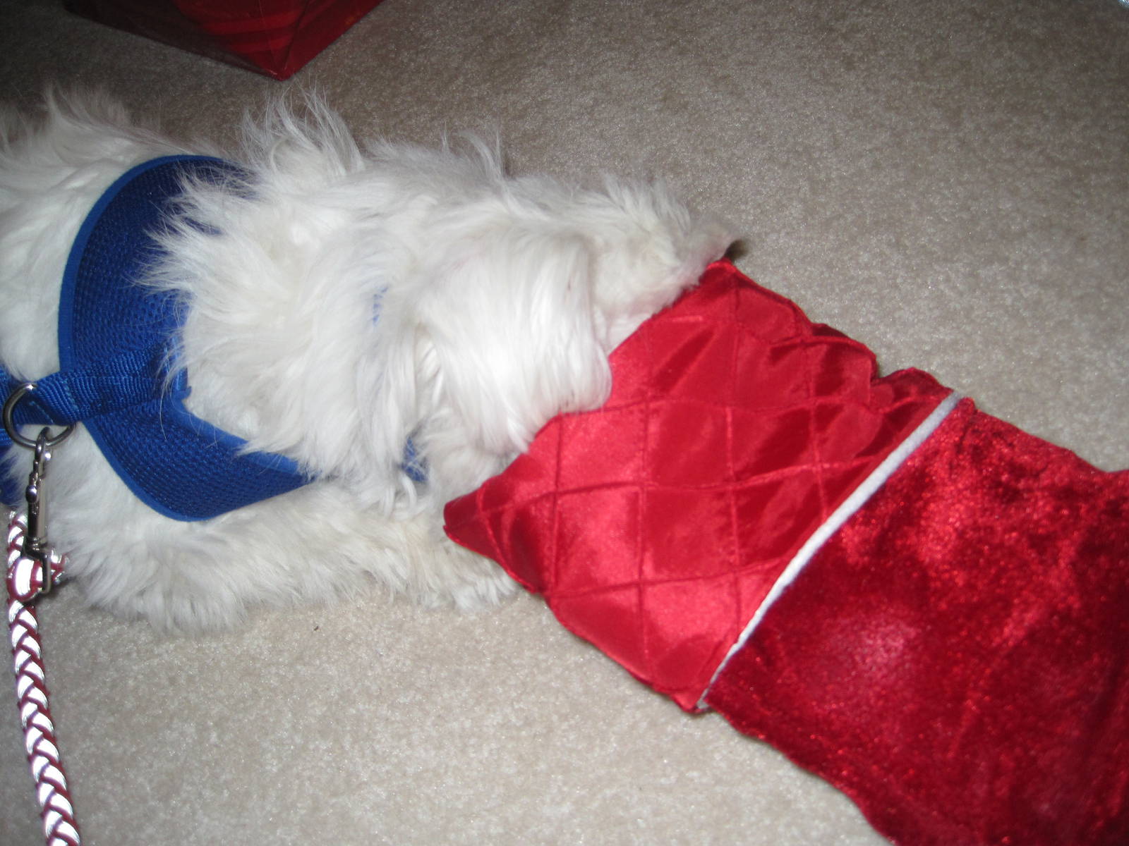 Herman vs The Christmas Stocking (Part 2)