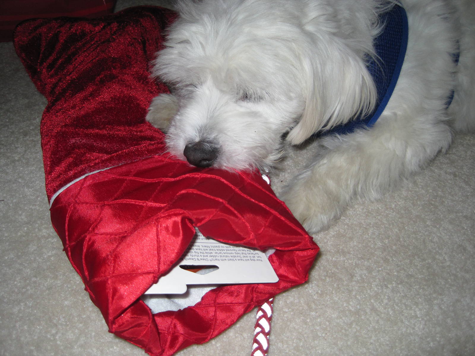 Herman vs The Christmas Stocking (Part 4)