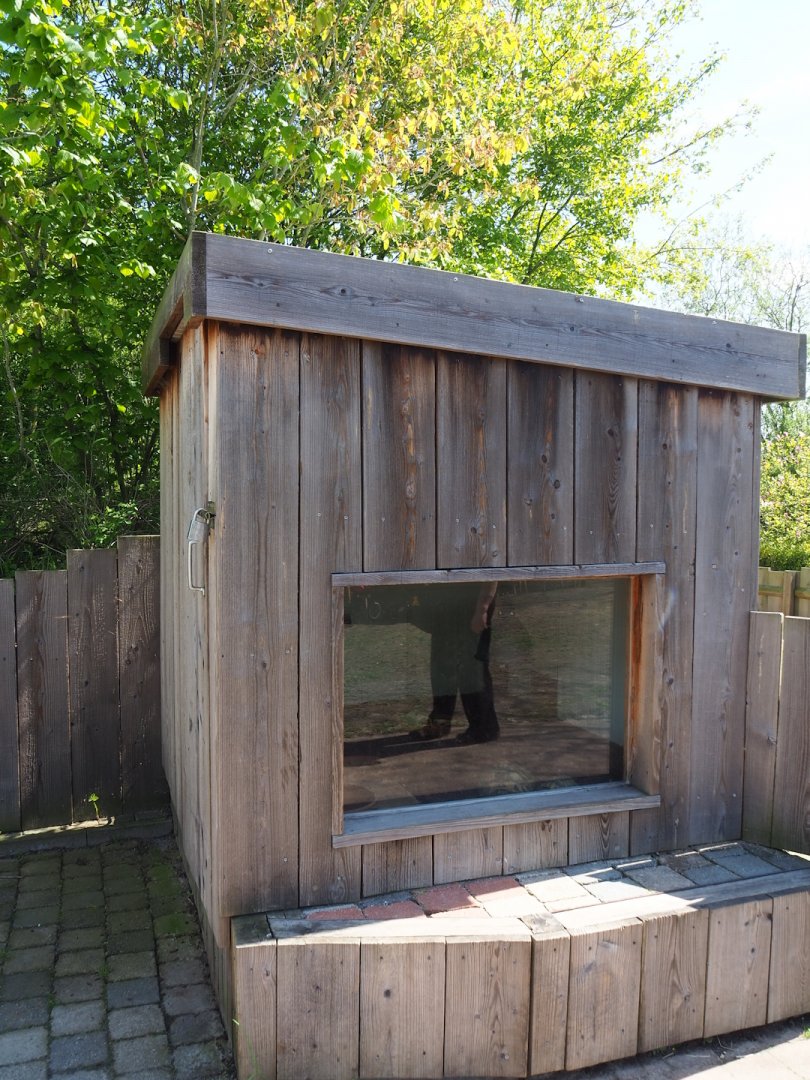 Hermann's tortoise barn, 2023-04-30