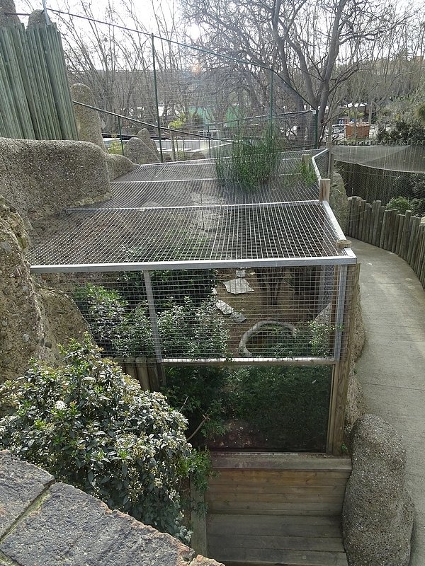 Hermann's tortoise enclosure