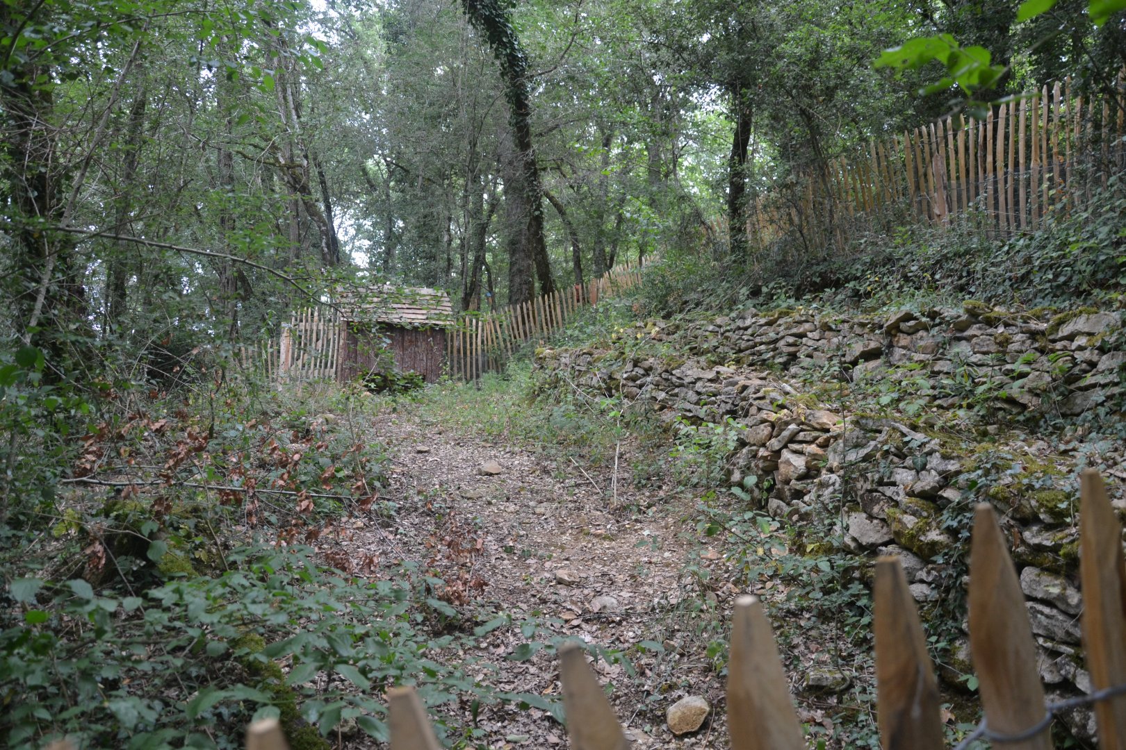 Hermann's Tortoise enclosure