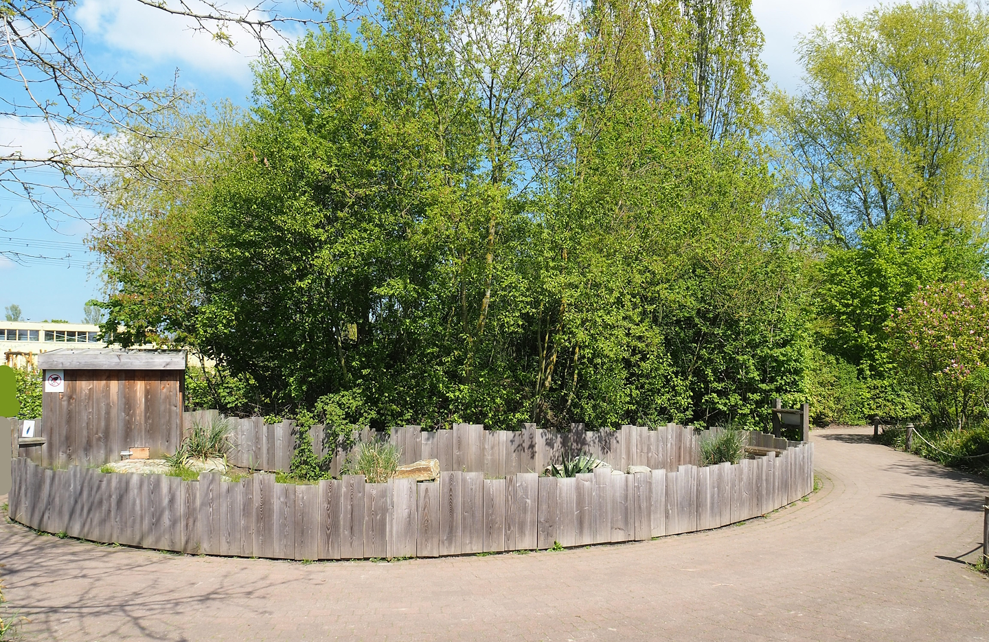 Hermann's tortoise exhibit, 2023-04-30