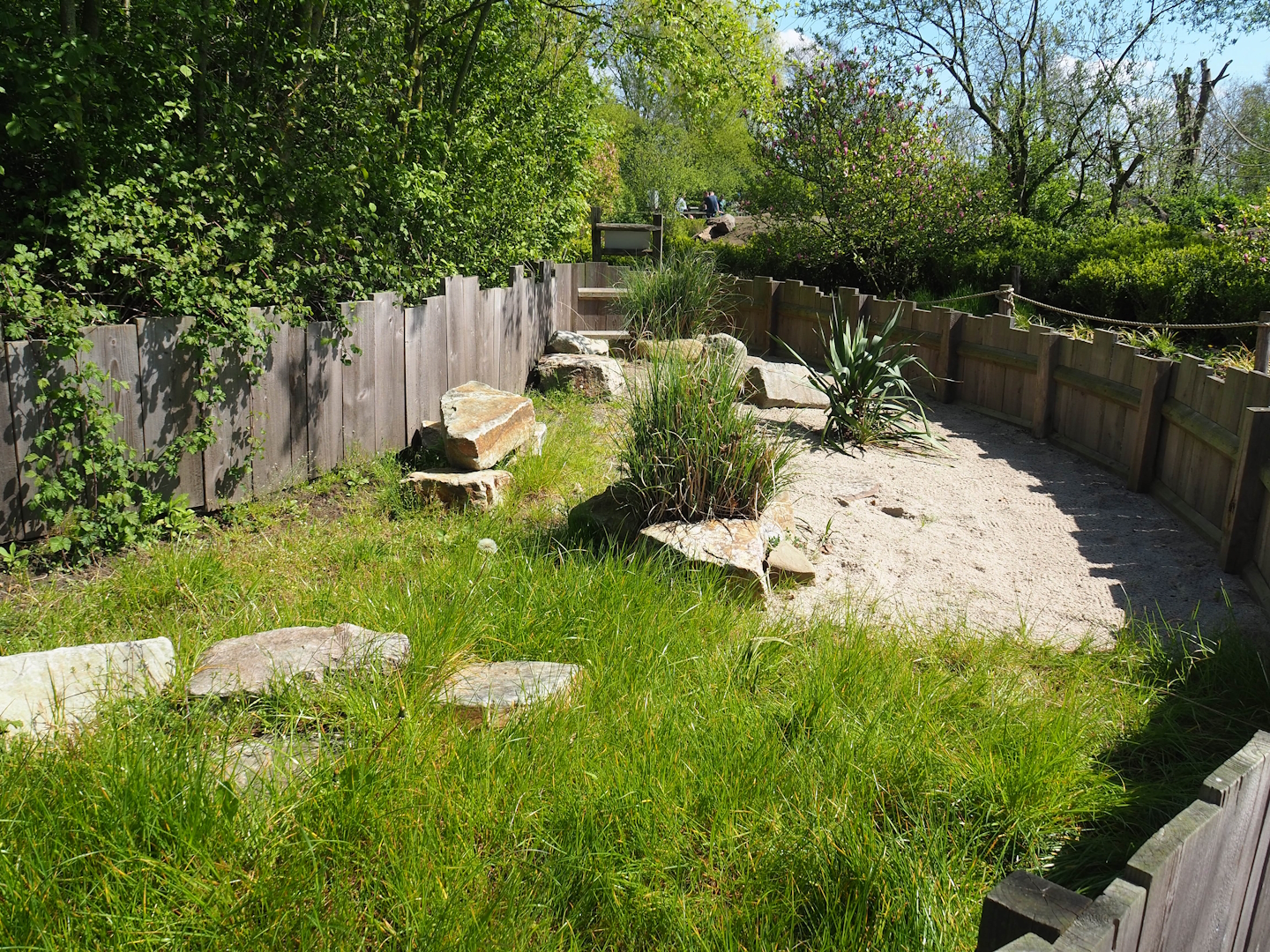 Hermann's tortoise exhibit, 2023-04-30