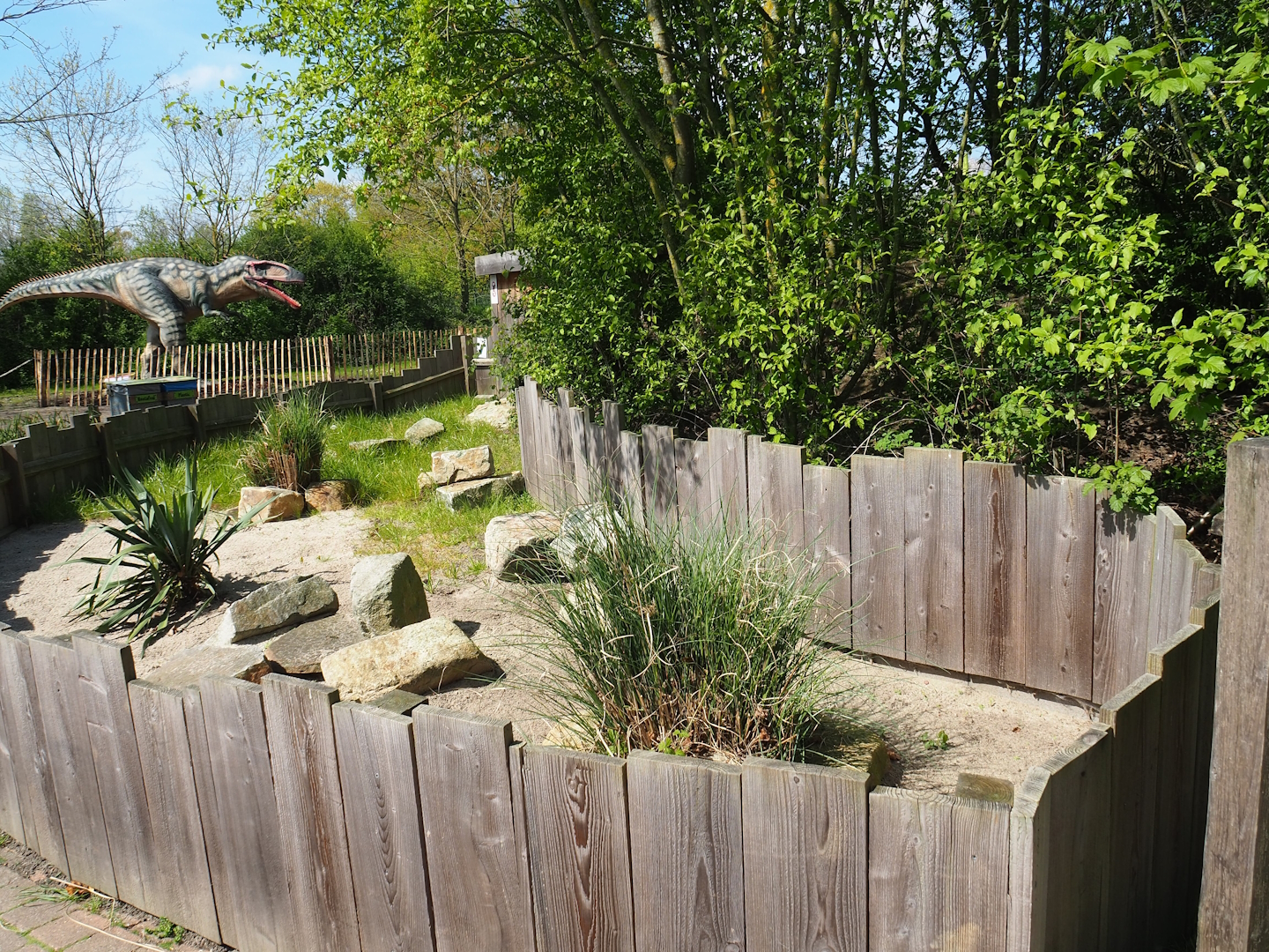 Hermann's tortoise exhibit, 2023-04-30