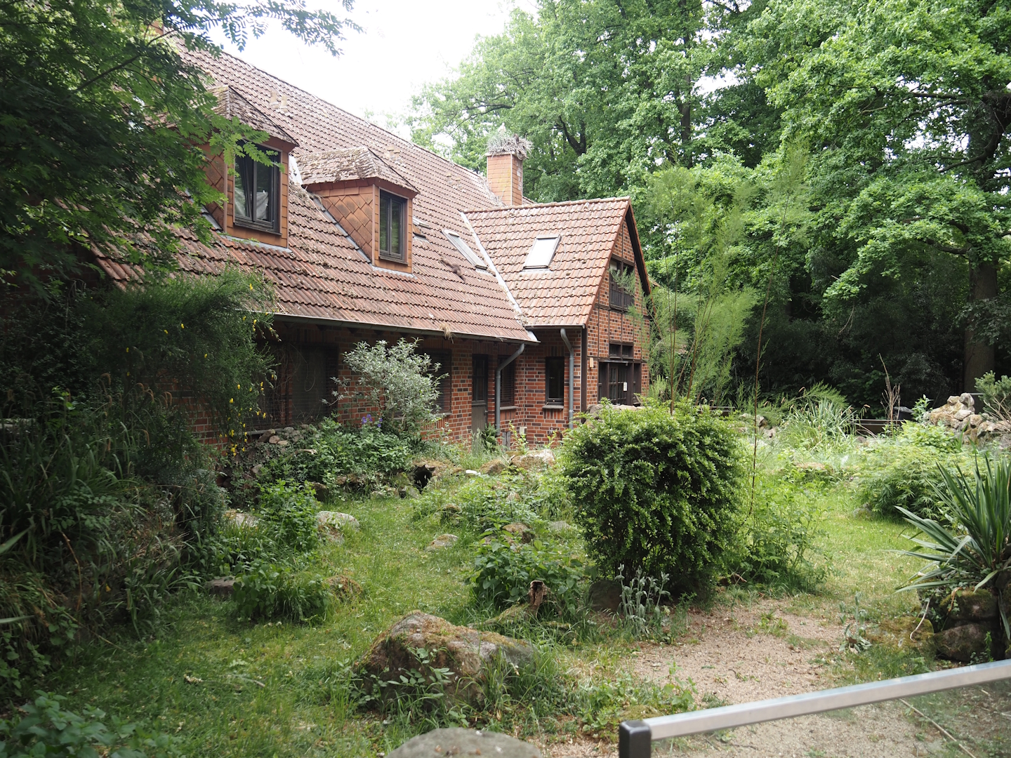 Hermann's tortoise exhibit and service building, 2025-05-22