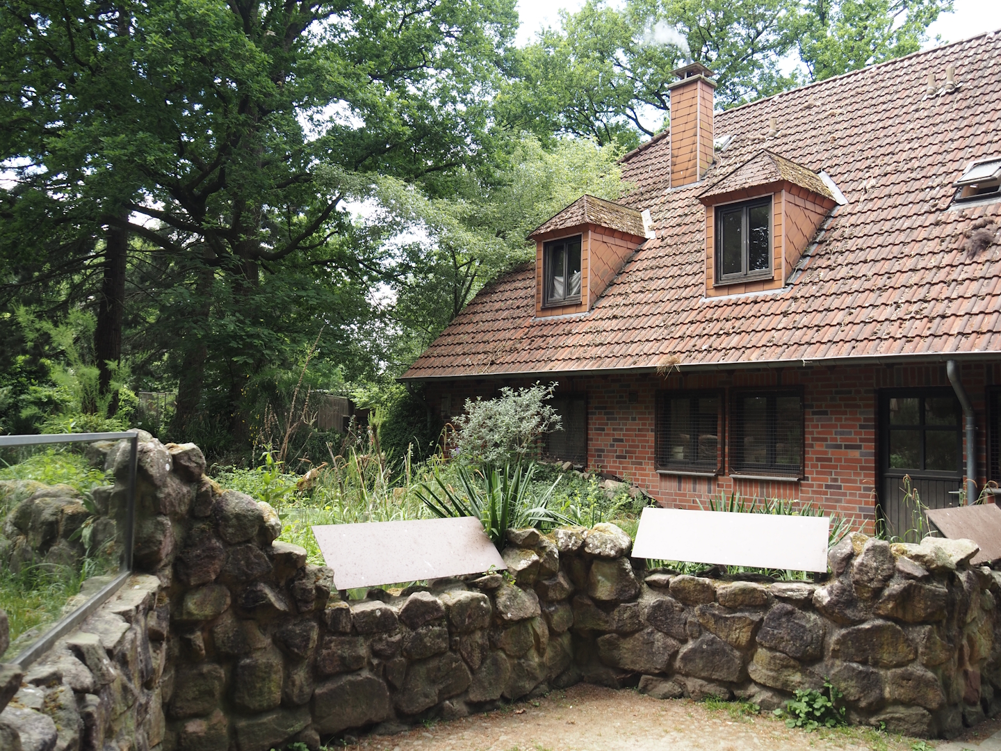 Hermann's tortoise exhibit and service building, 2025-05-22