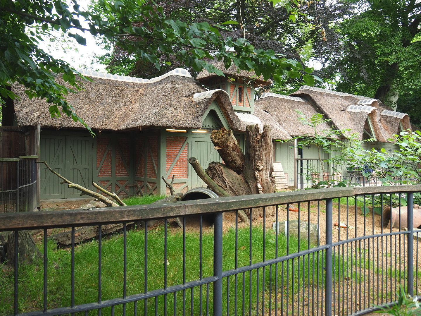 Hermann's tortoise exhibit (Historical small deer exhibit,), 2021-06-12