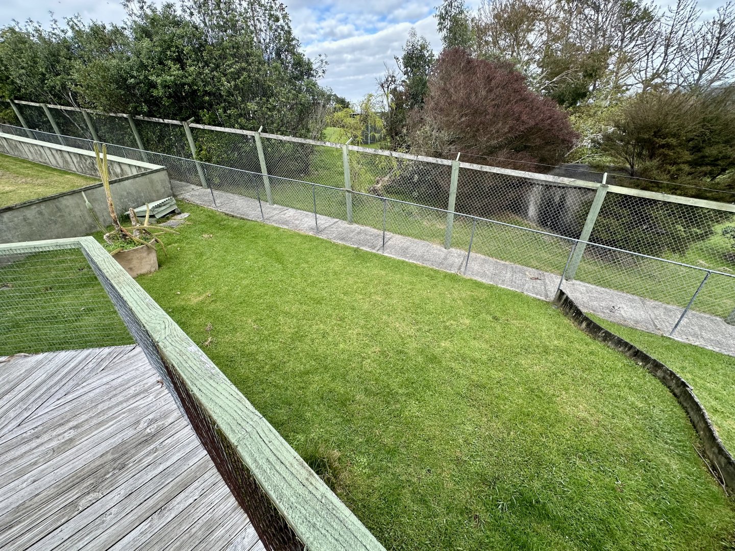 Hermann’s Tortoise Exhibit (Juveniles)