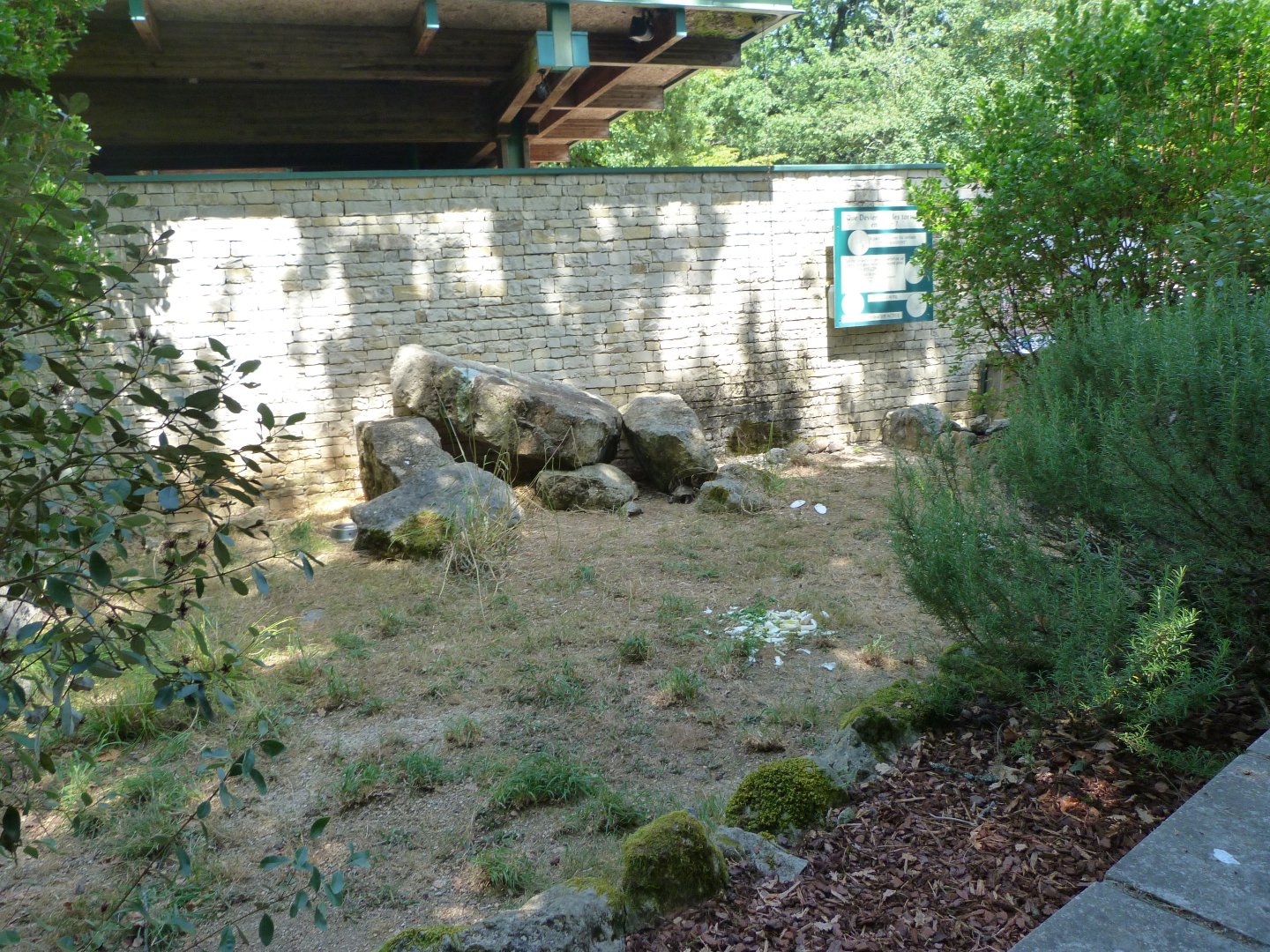 Hermann’s tortoise exhibit -Zoodyssée (2025)