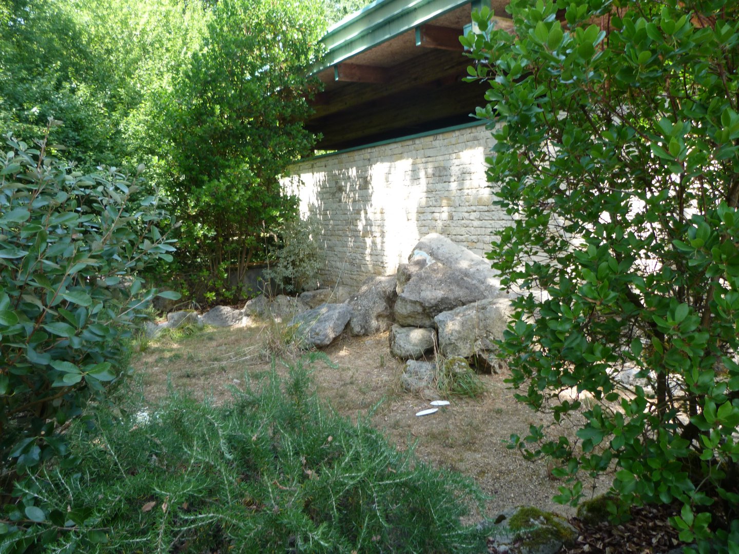 Hermann’s tortoise exhibit -Zoodyssée (2025)