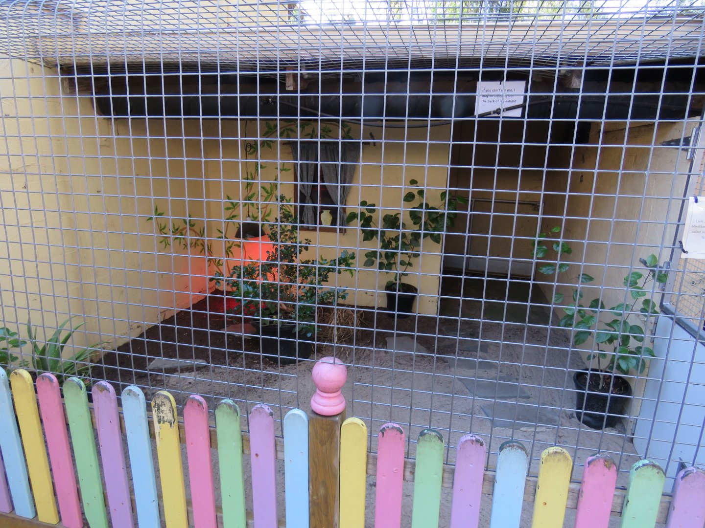 Hermann's Tortoise Exhibit