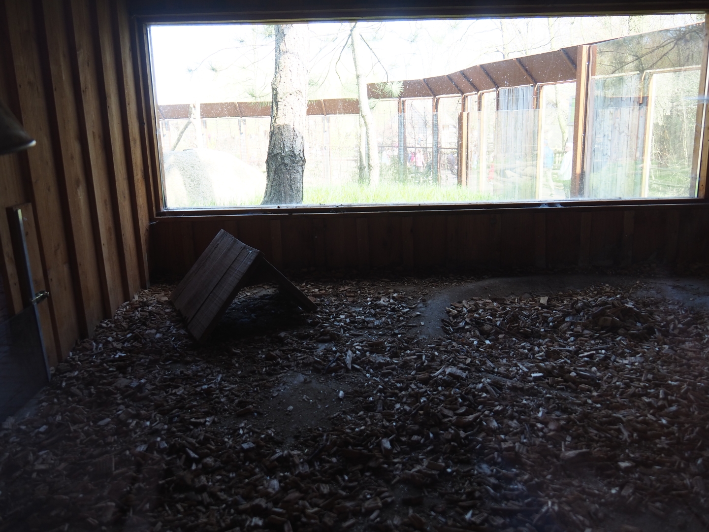 Hermann's tortoise indoor exhibit, 2019-03-30