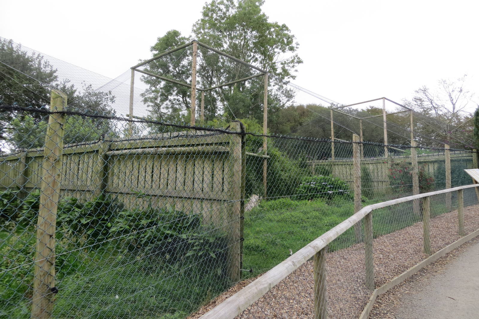 Heron and Ibis aviaries 090815