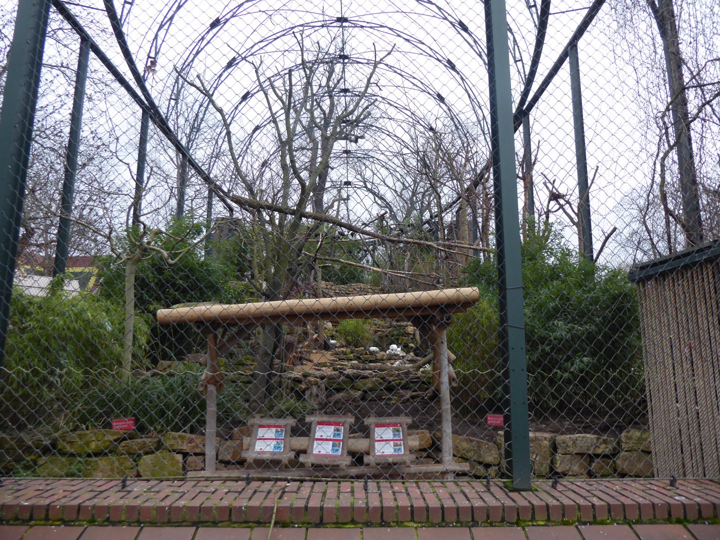 Heron and stork aviary 280118