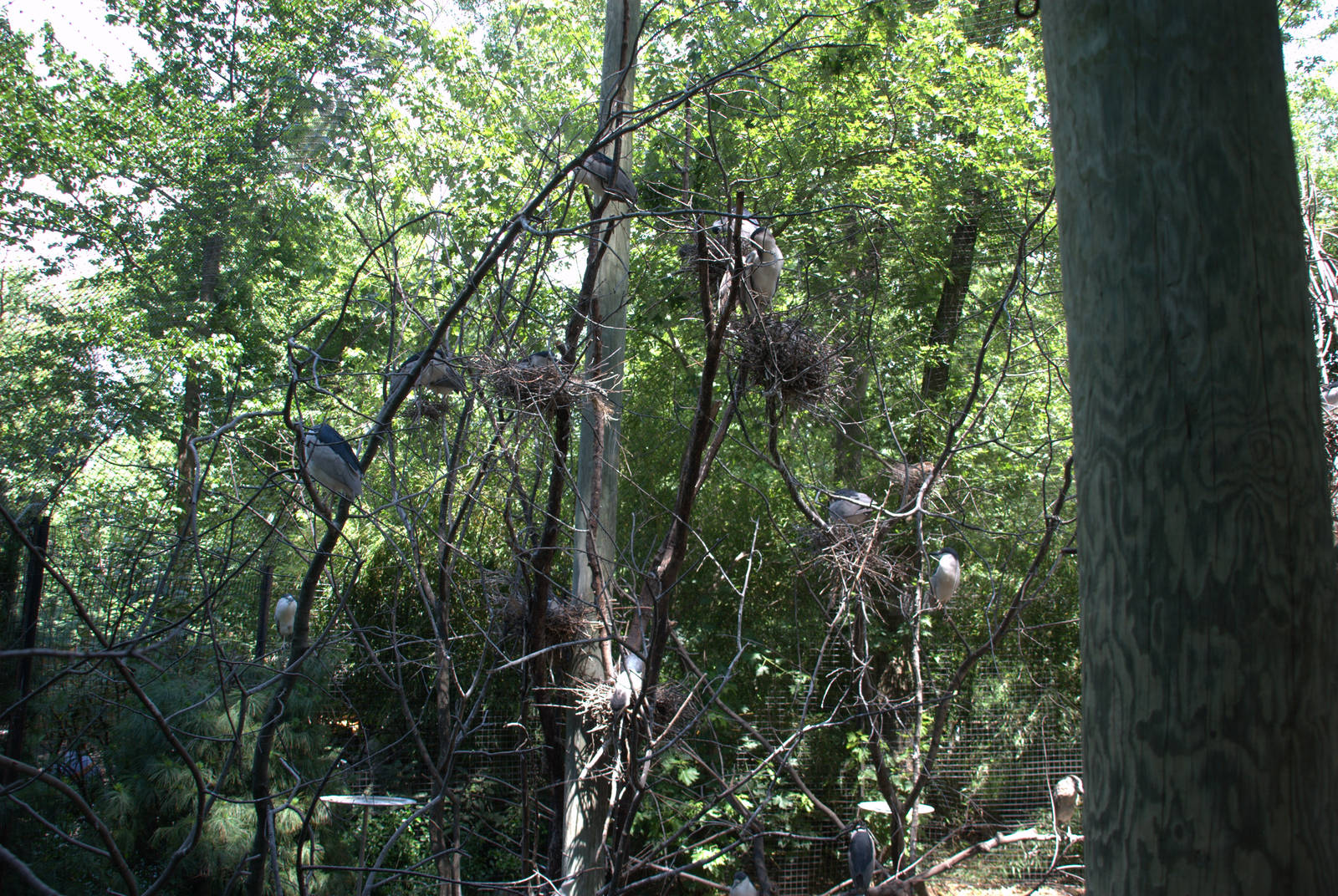 Heron Enclosure