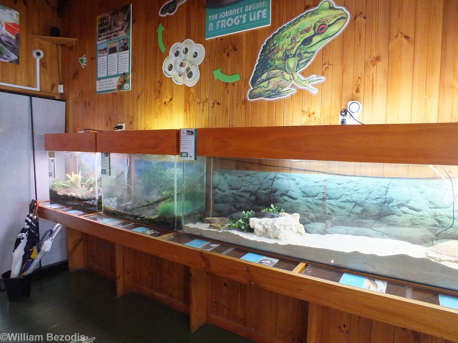Herp Enclosures - Herdsman Lake Visitor Centre