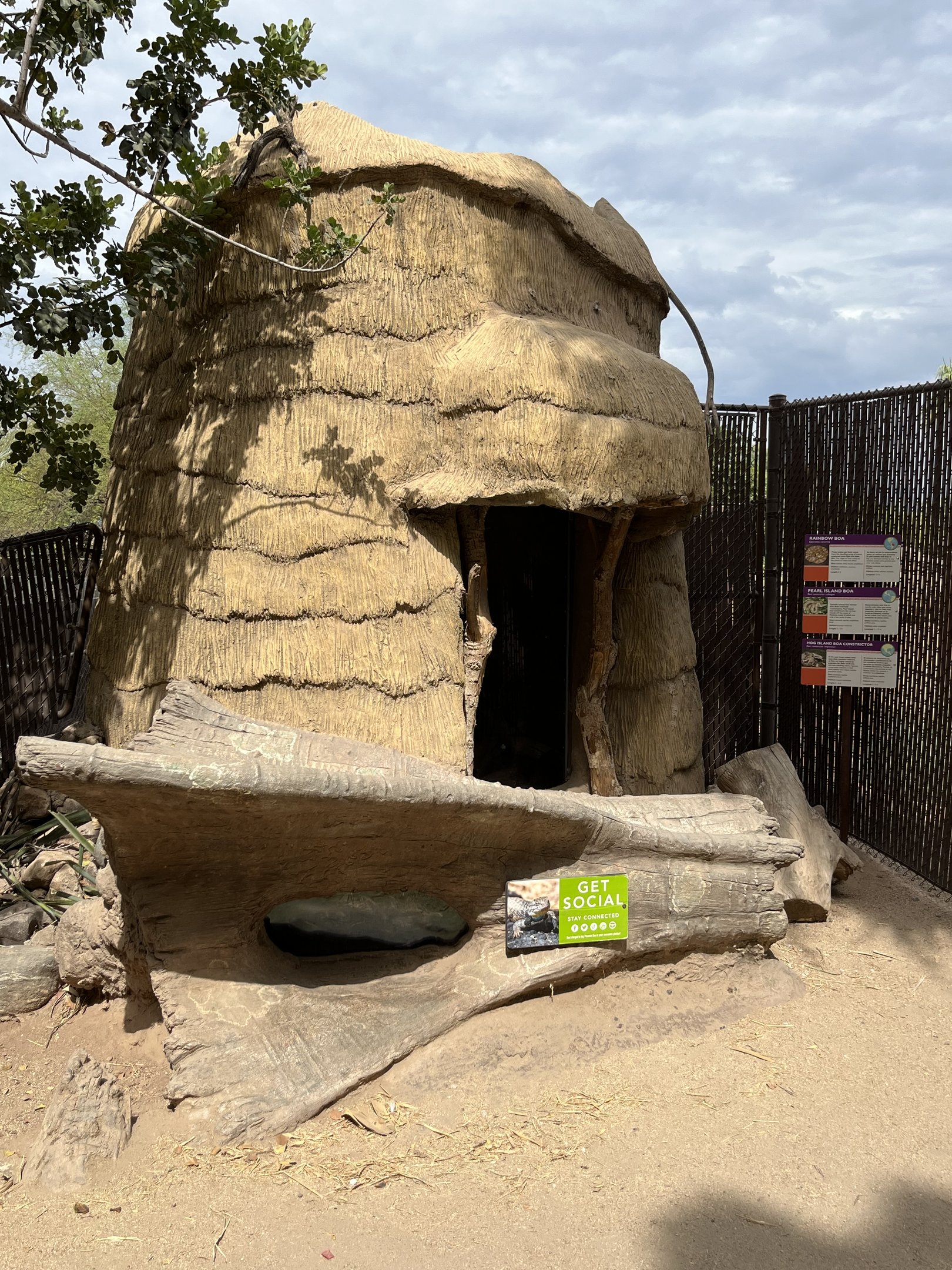 Herp Exhibits in Tree