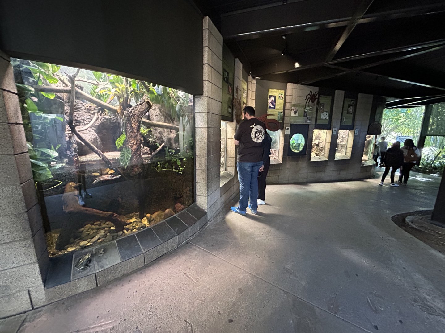Herp Exhibits - Monkey Trails & Forest Tales