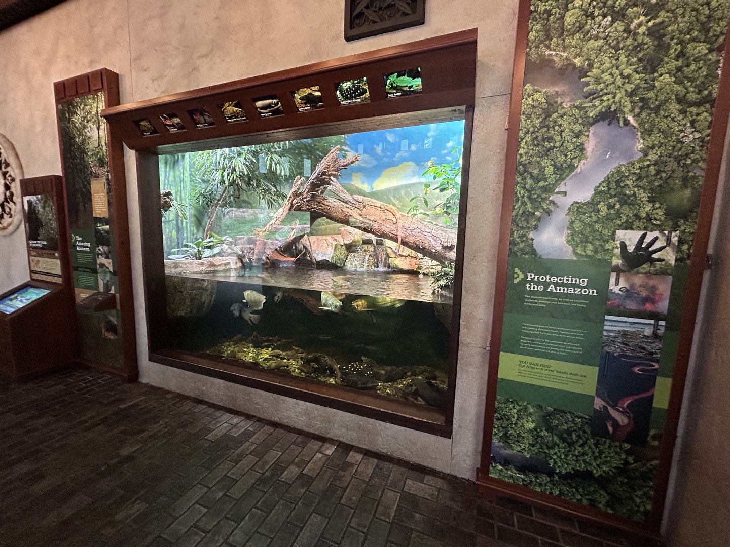 Herp & Fish Paludarium