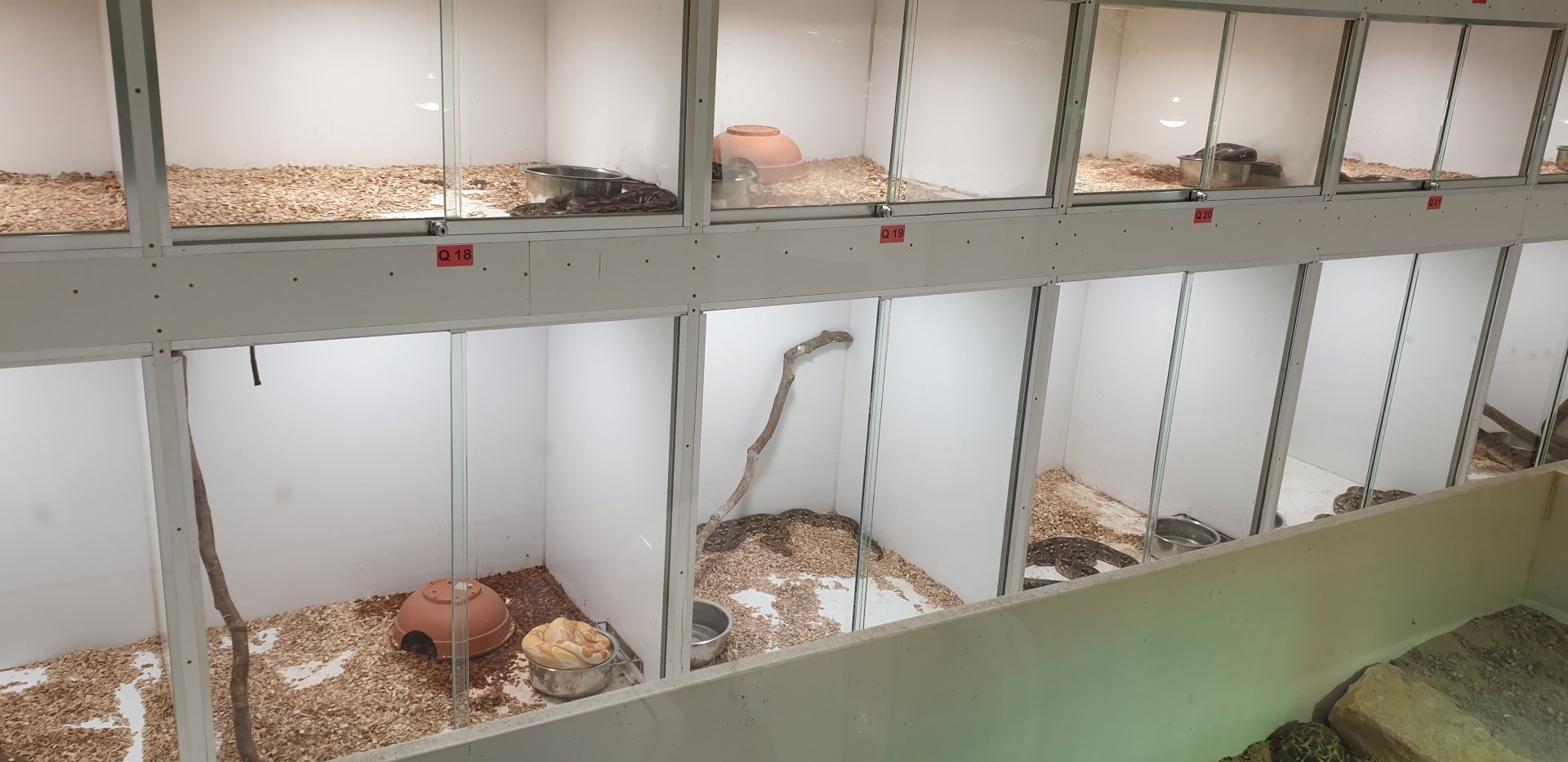 Herp-quarantaine and holding area at mens toilet