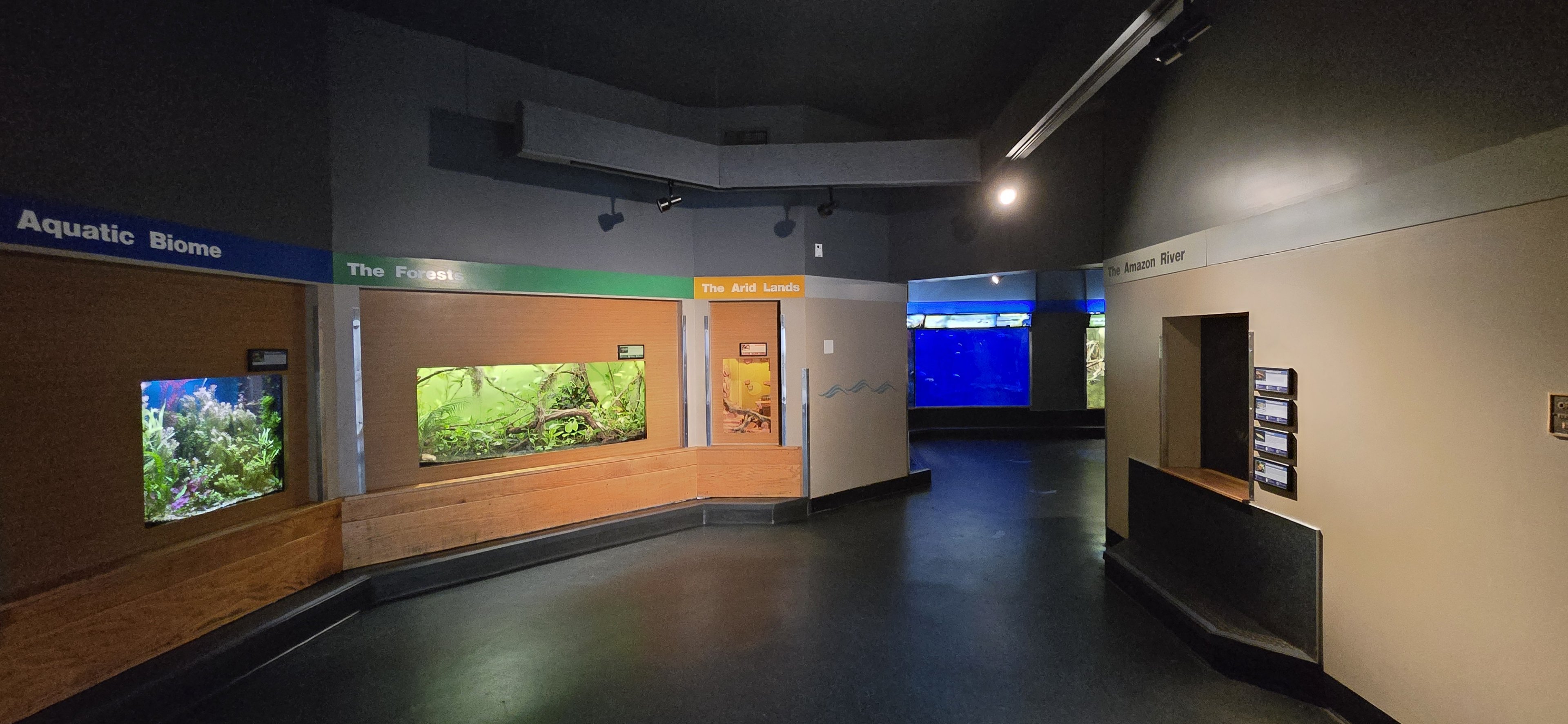 Herpaquarium - Gallery view