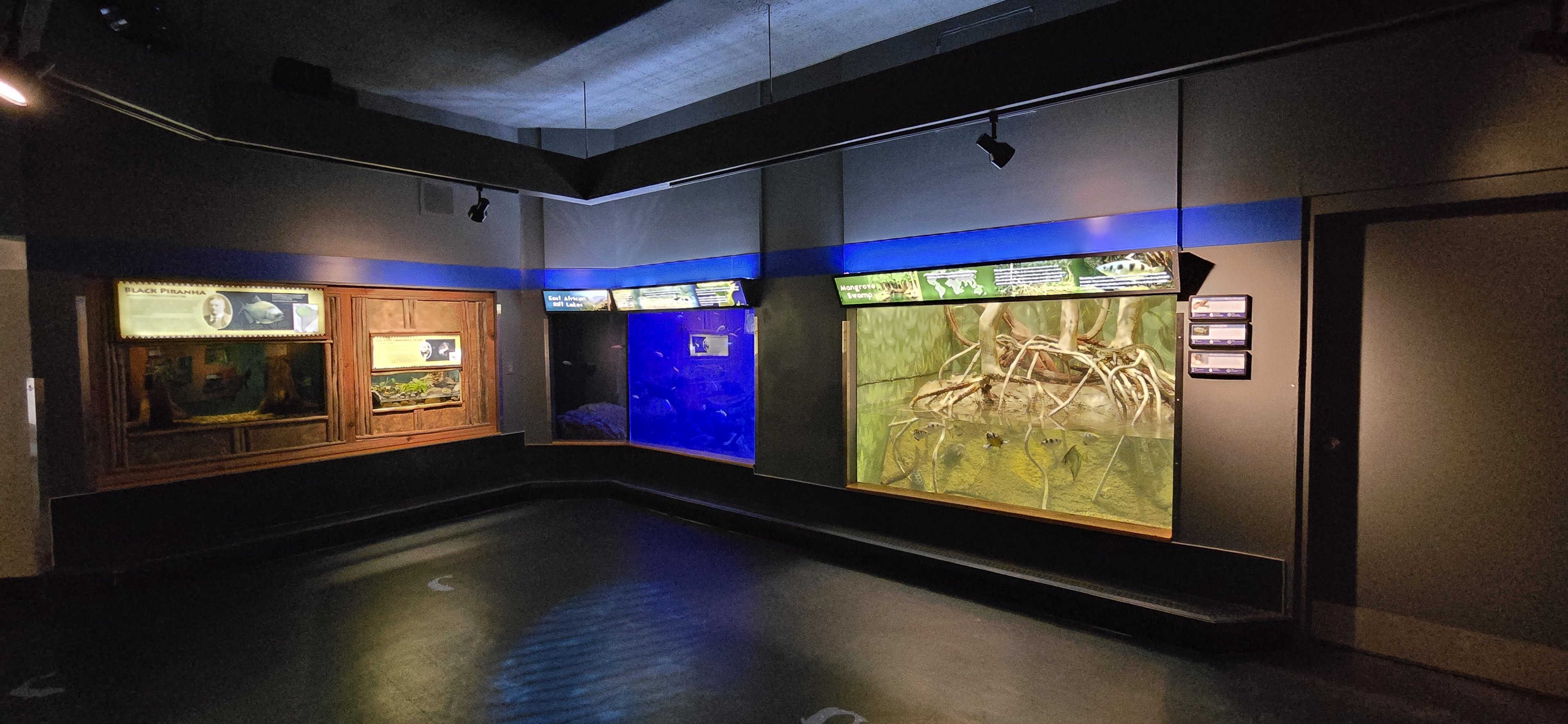 Herpaquarium - Gallery view